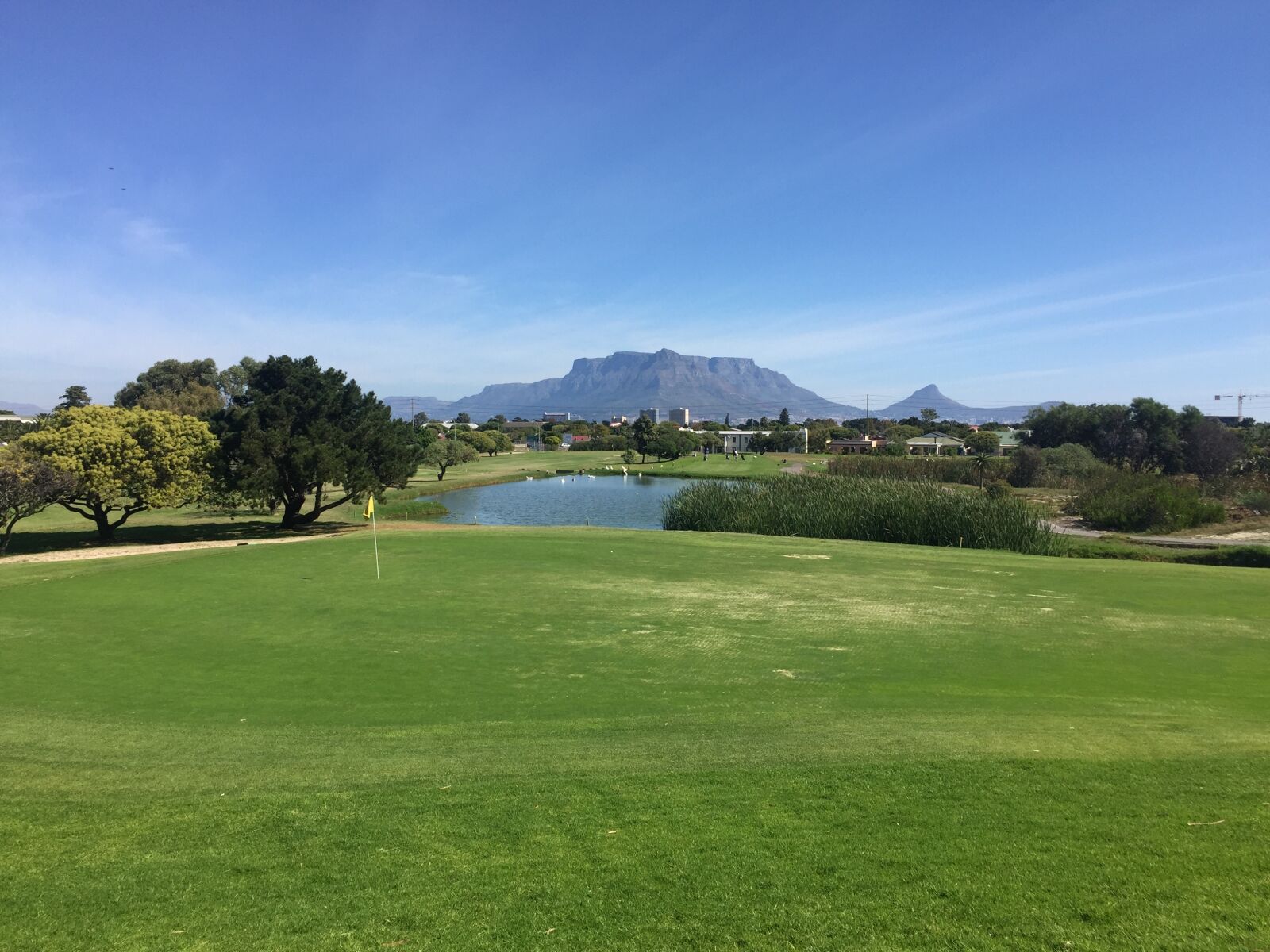 iPhone 6 Plus back camera 4.15mm f/2.2 sample photo. Lawn, golf, grass photography