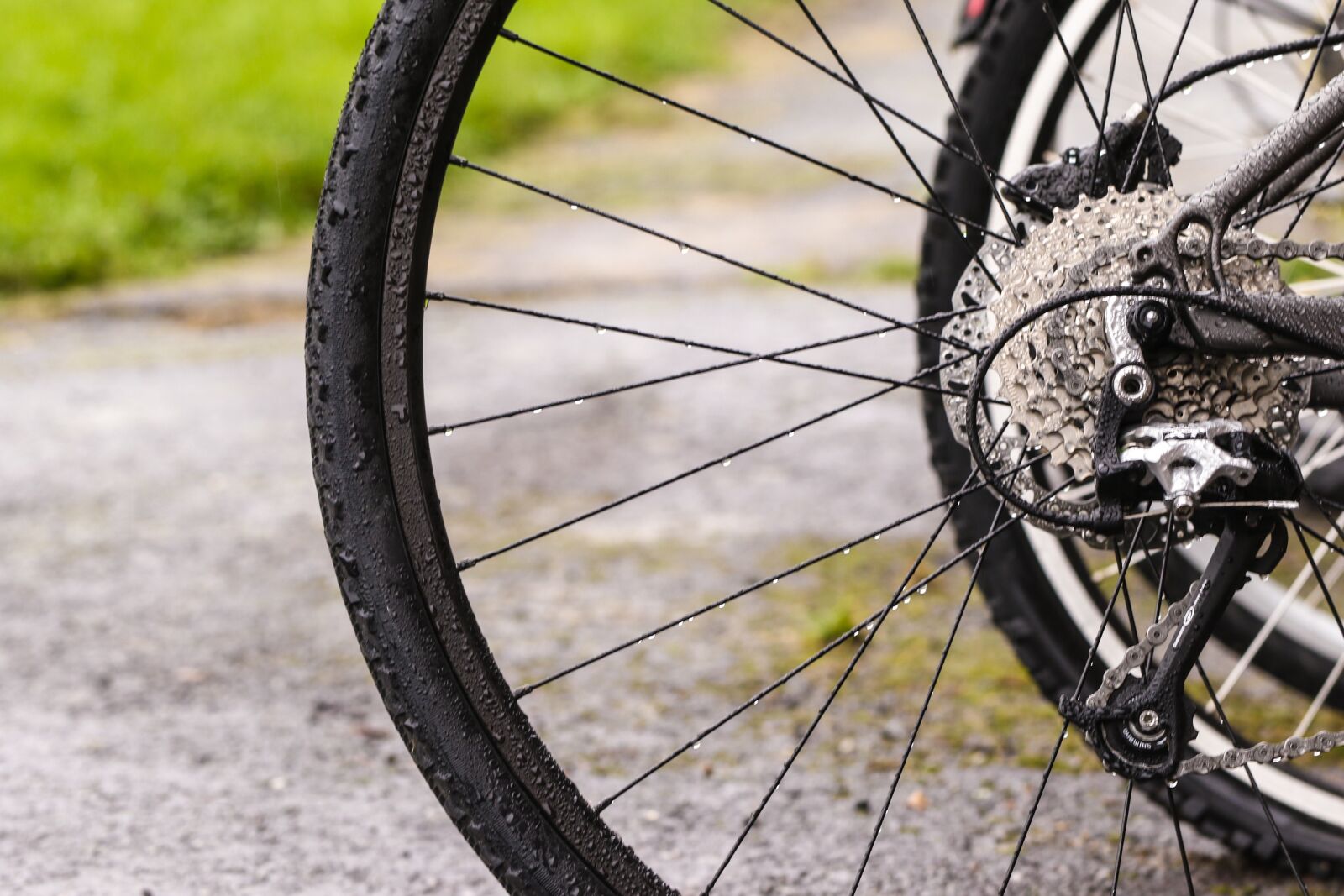 Canon EOS 7D Mark II sample photo. Wheel bicycle, bike, grass photography