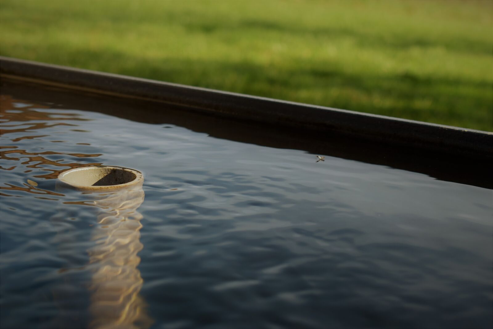 Nikon D5500 sample photo. Pond, plug, water photography