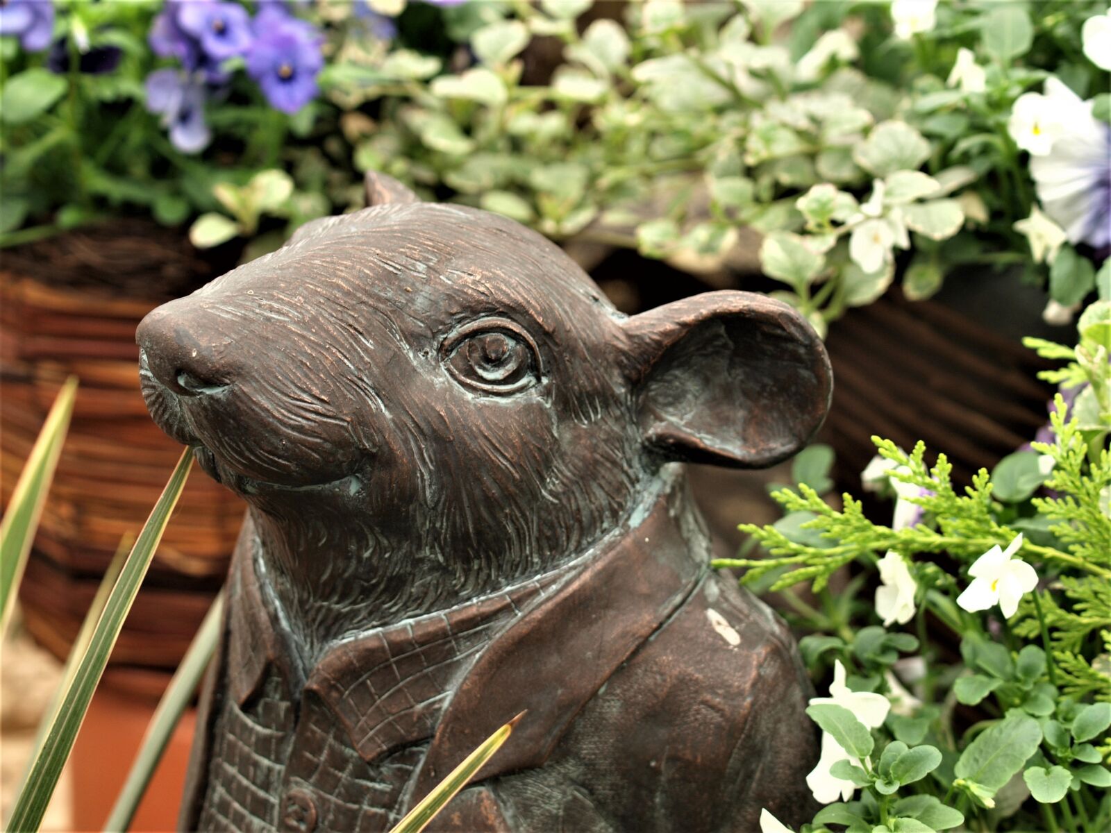 Olympus E-520 (EVOLT E-520) sample photo. Nature, animal, stone photography