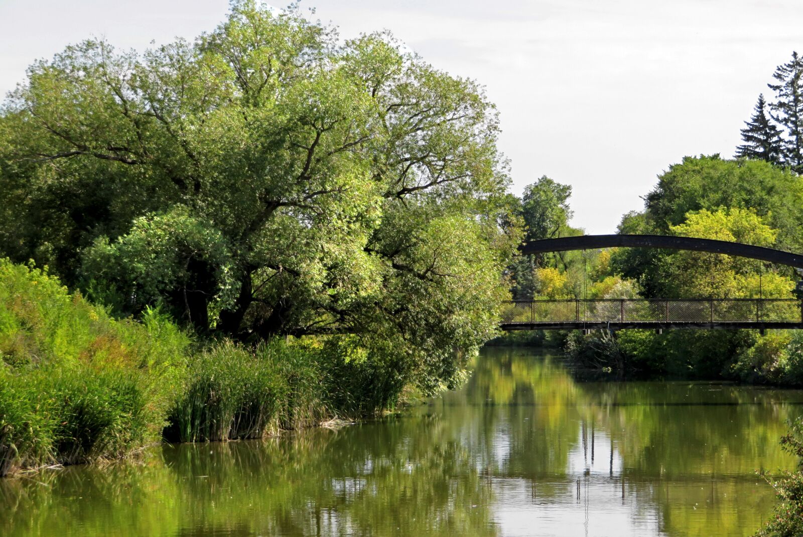 Canon PowerShot SX720 HS sample photo. Bridge, trees, reflection photography