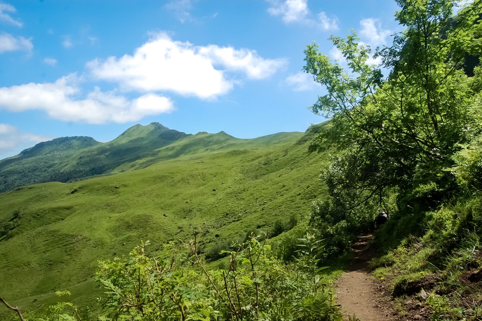 Nikon D40 sample photo. Auvergne, cantal, mountain photography