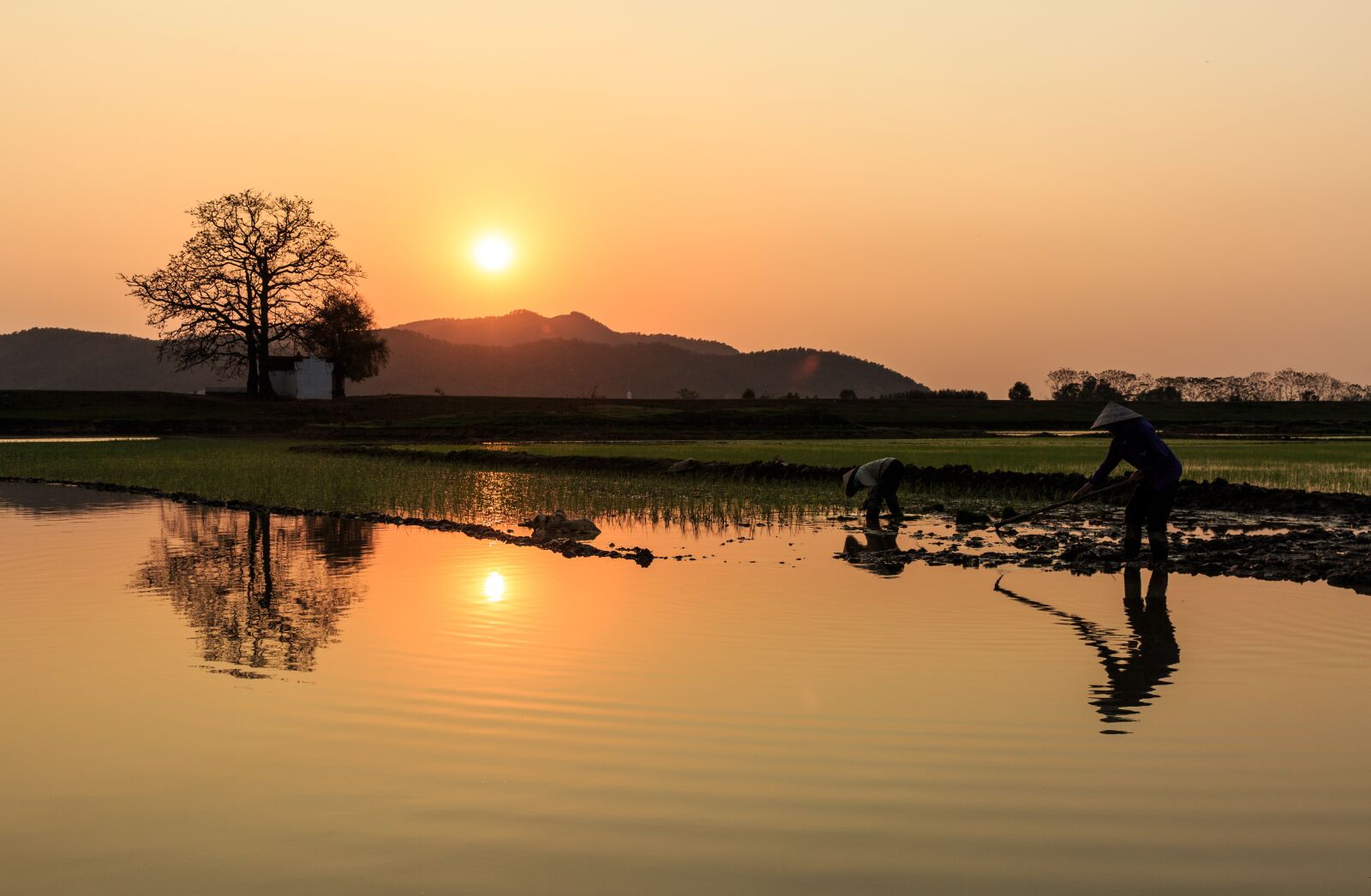 Canon EOS 5D Mark III sample photo. Vietnam women, sunset, people photography