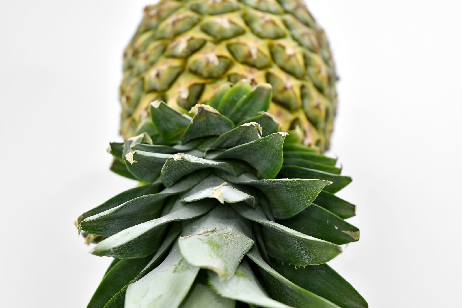 Nikon D5500 sample photo. Antioxidant, delicious, fruit, food photography