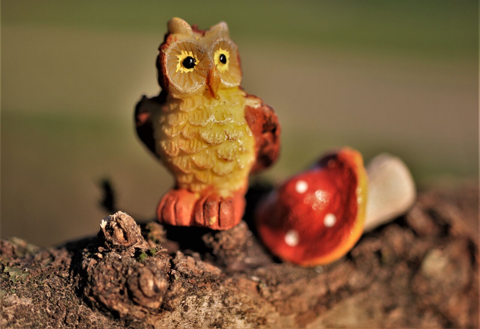 Canon EOS 7D sample photo. Owl, fly agaric, wood photography