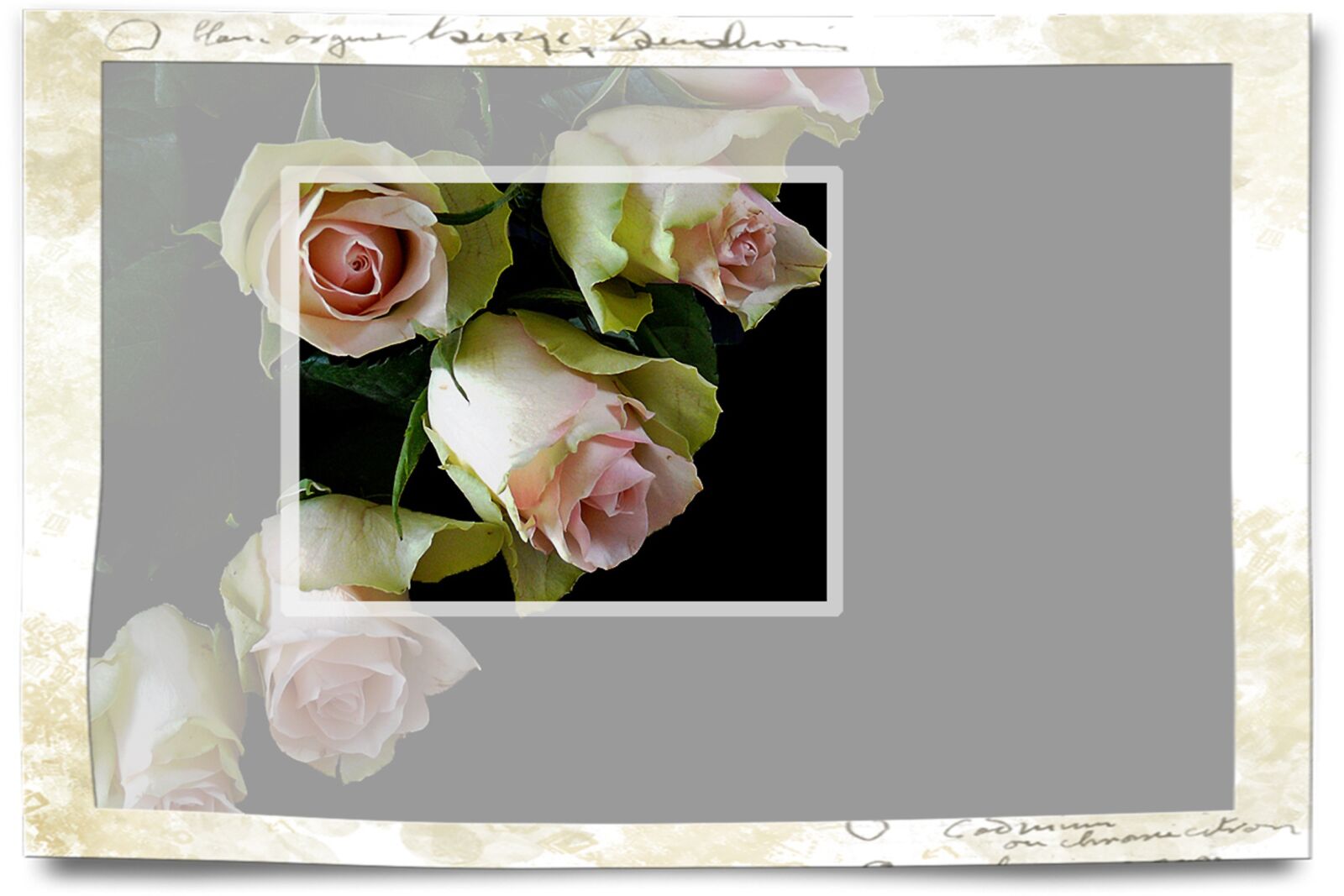 Leica V-LUX 1 sample photo. Roses, map, invitation photography