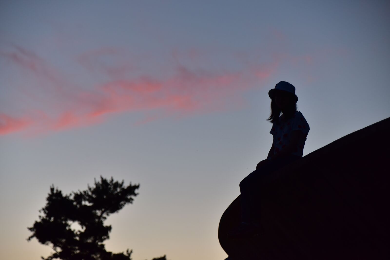 Nikon D810 sample photo. Silhouette, sunset, backlighting photography