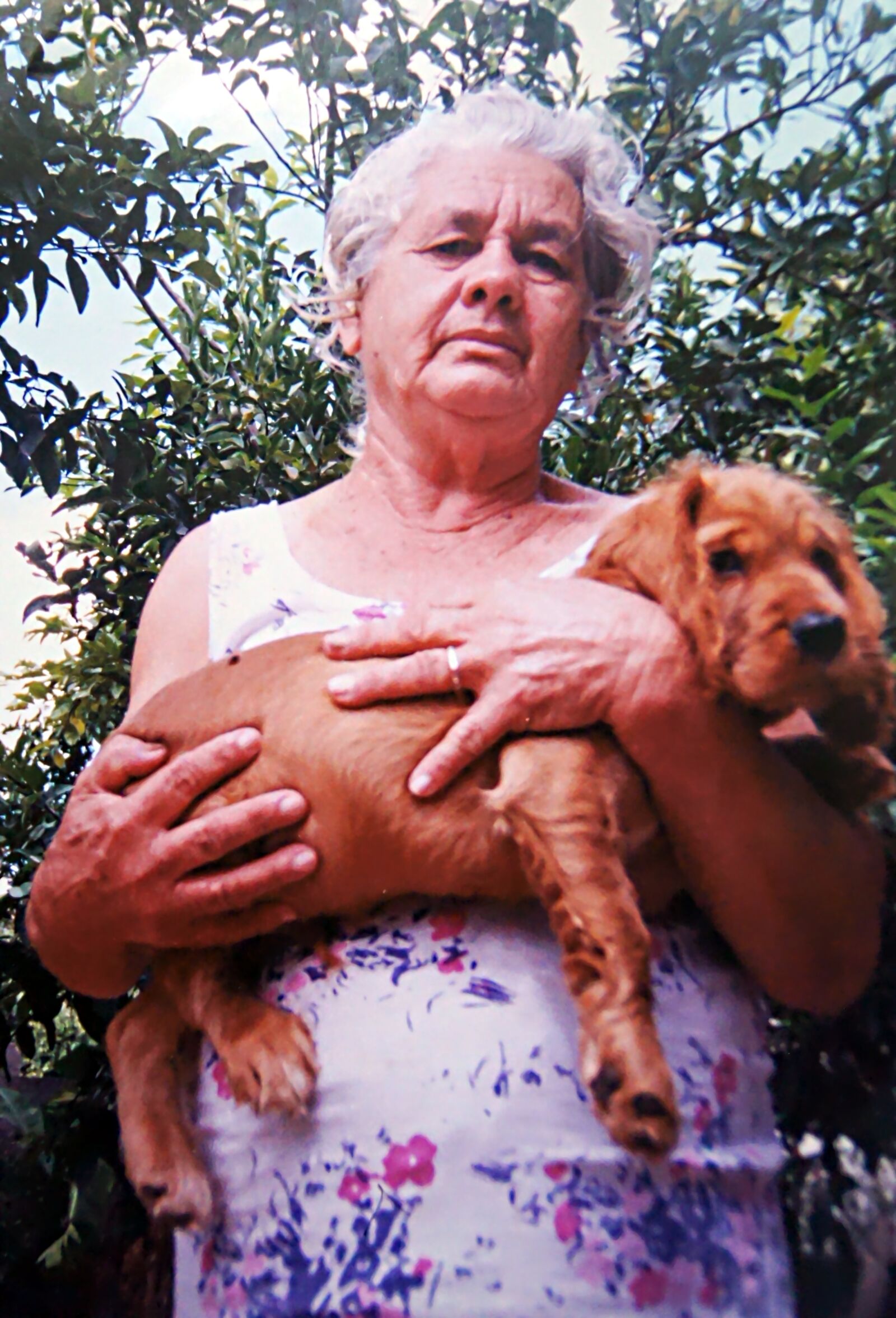 Sony SLT-A35 sample photo. Grandma, woman, dog photography