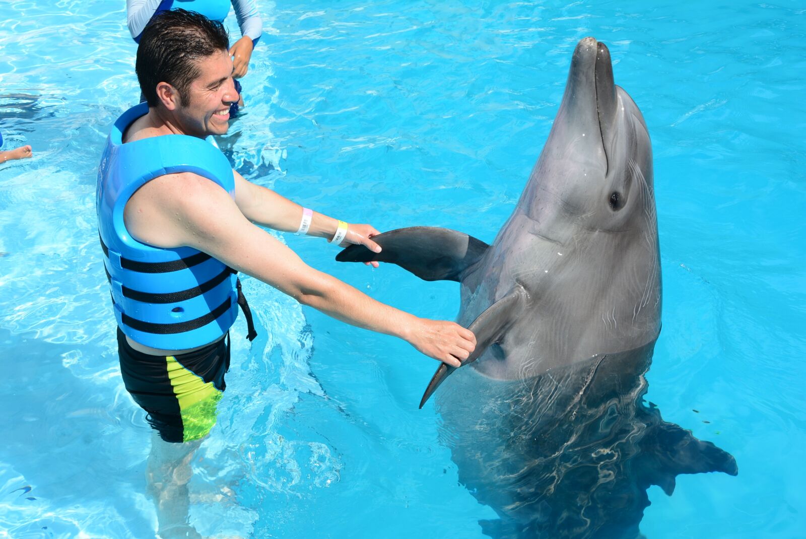 Nikon D5200 sample photo. Dolphins, marine life, fish photography
