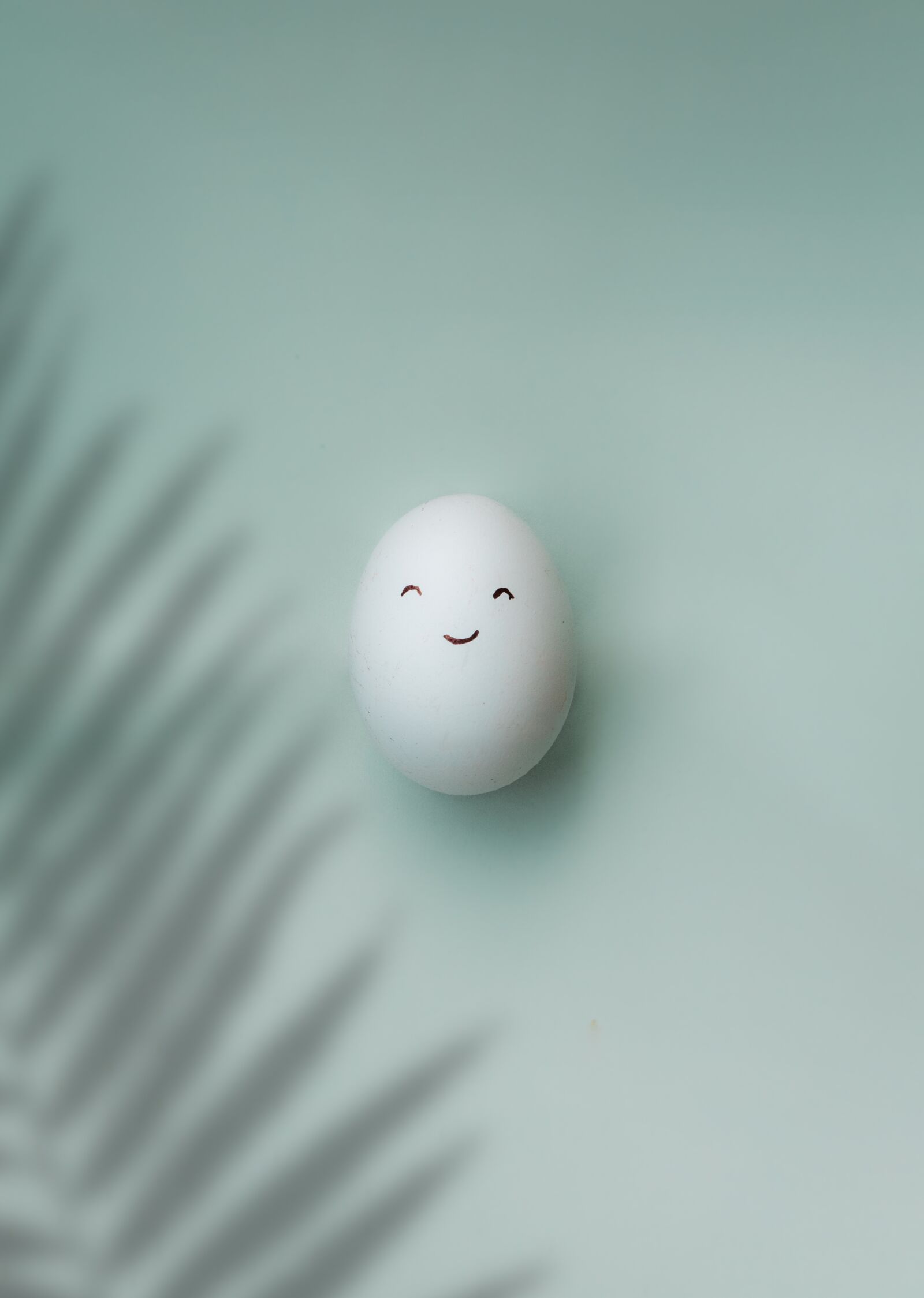 Nikon D5200 sample photo. Egg, food, top view photography
