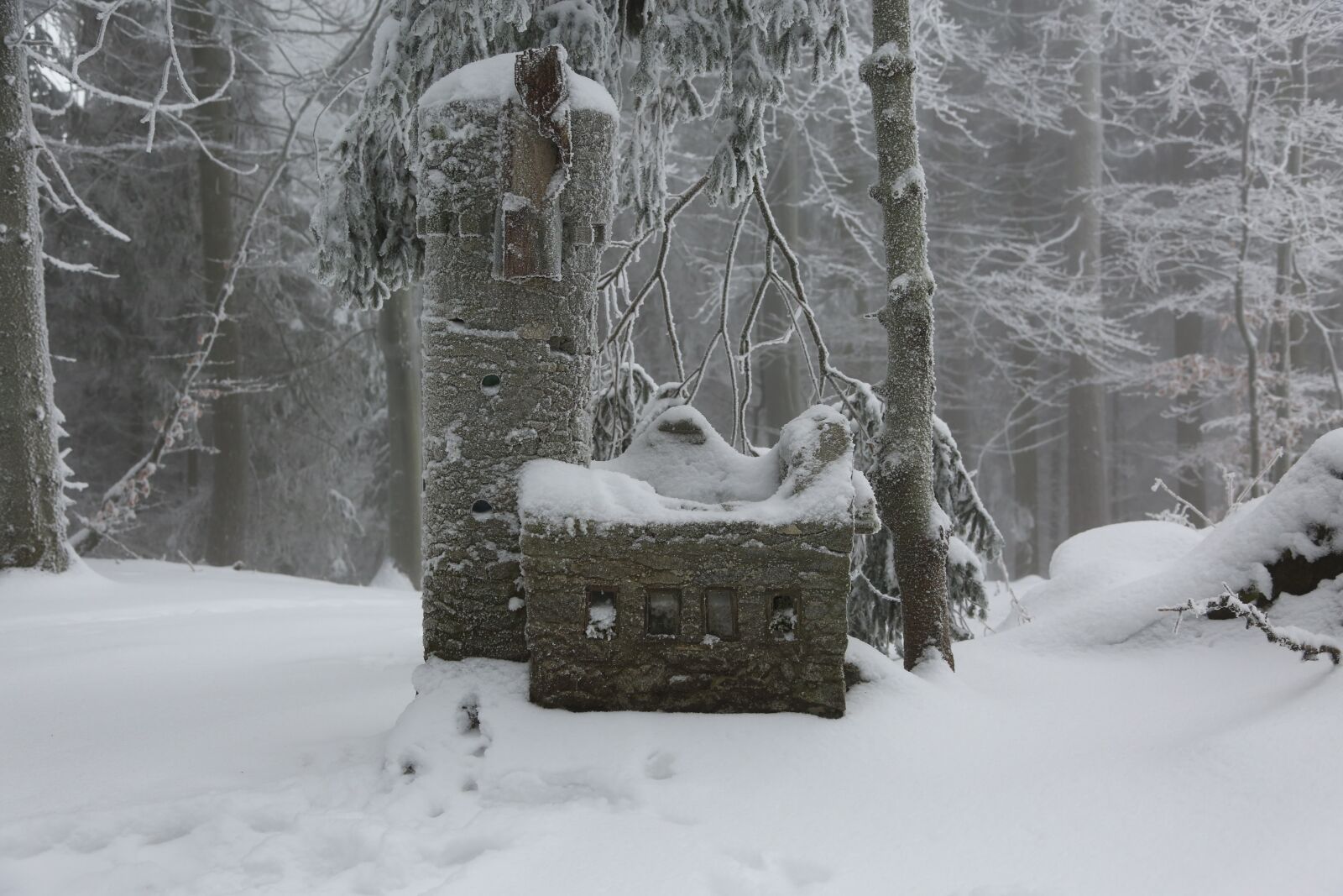 Canon EF 24-105mm F4L IS USM sample photo. Winter, cold, wintry photography