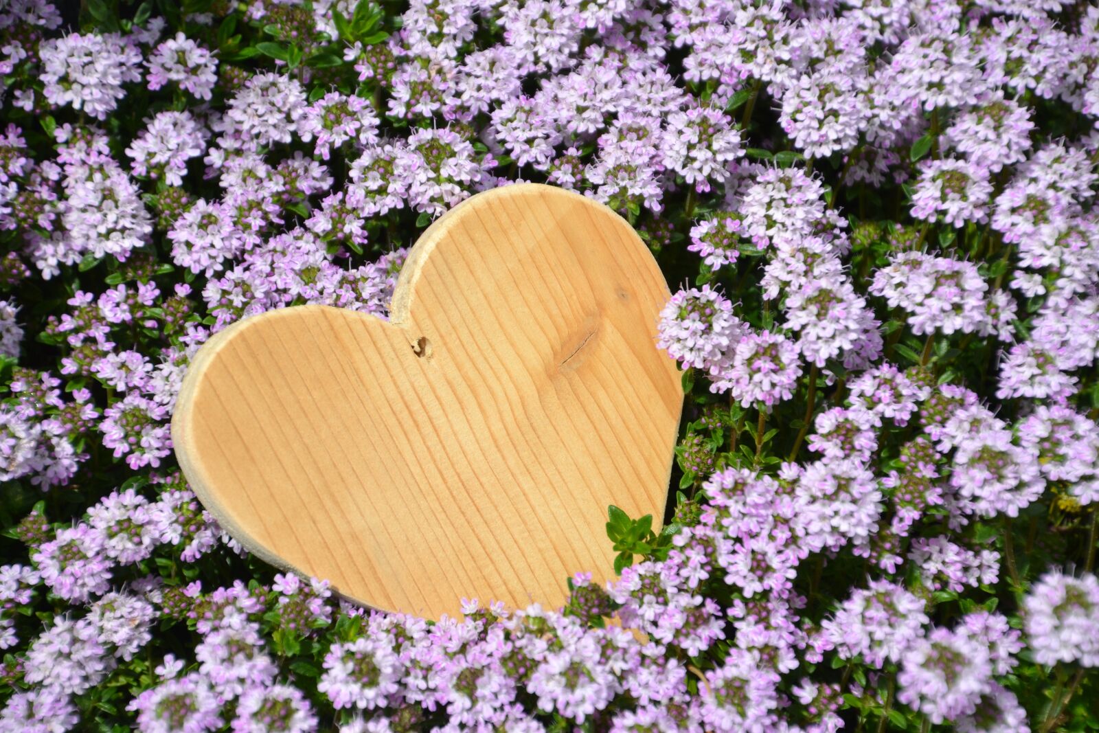 Nikon D3100 sample photo. Love, heart, mother's day photography