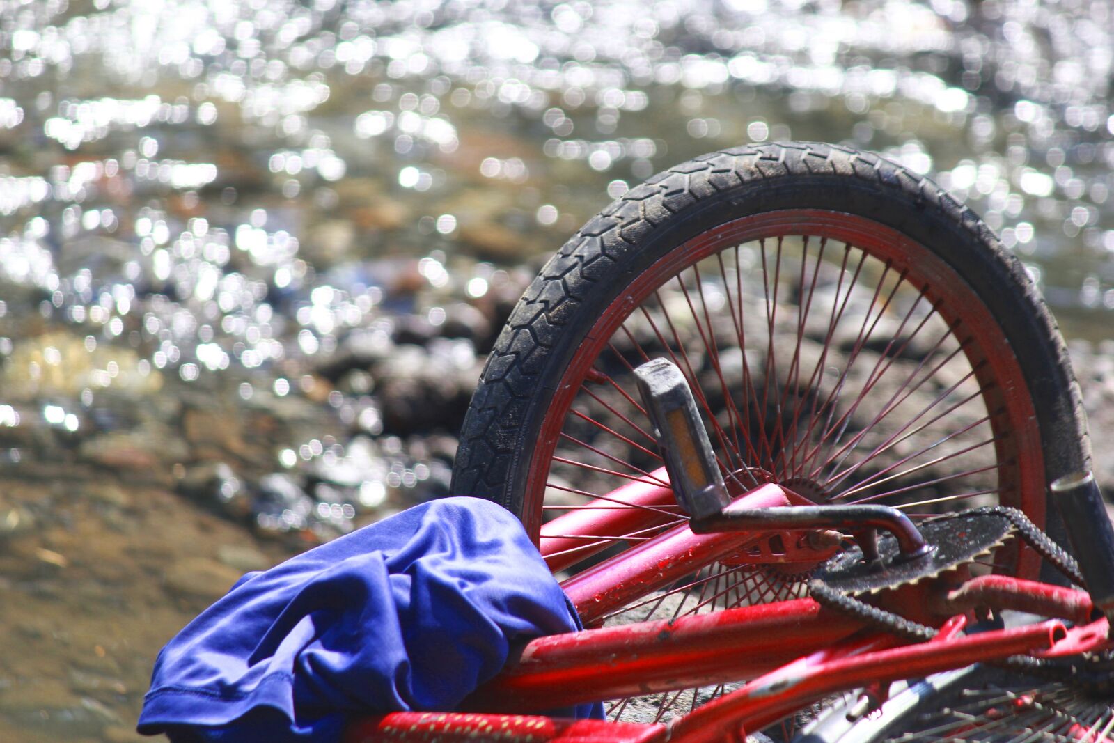 Canon EOS 60D + Canon EF-S 55-250mm F4-5.6 IS sample photo. Wheel, transportation, bike photography
