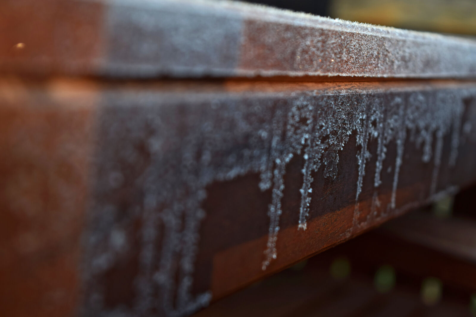 Nikon D3300 sample photo. Autumn, frost, garden, table photography