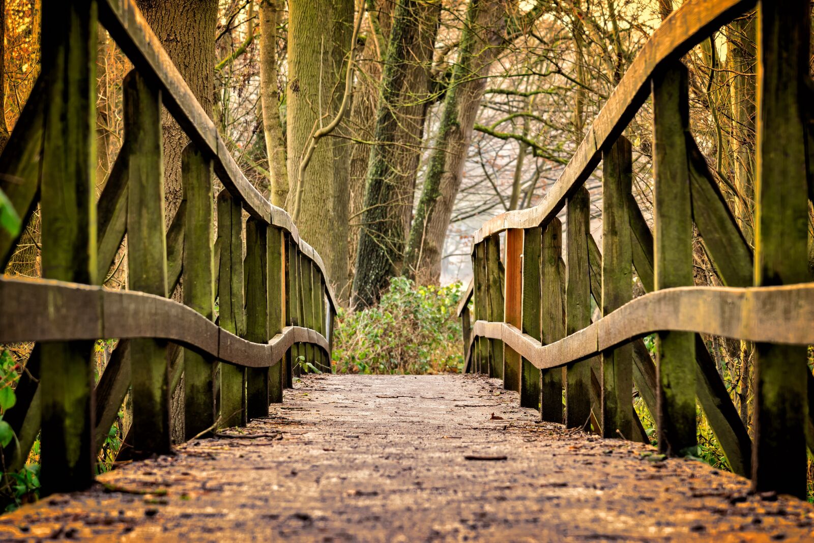 Nikon D3300 sample photo. Away, bridge, wood photography