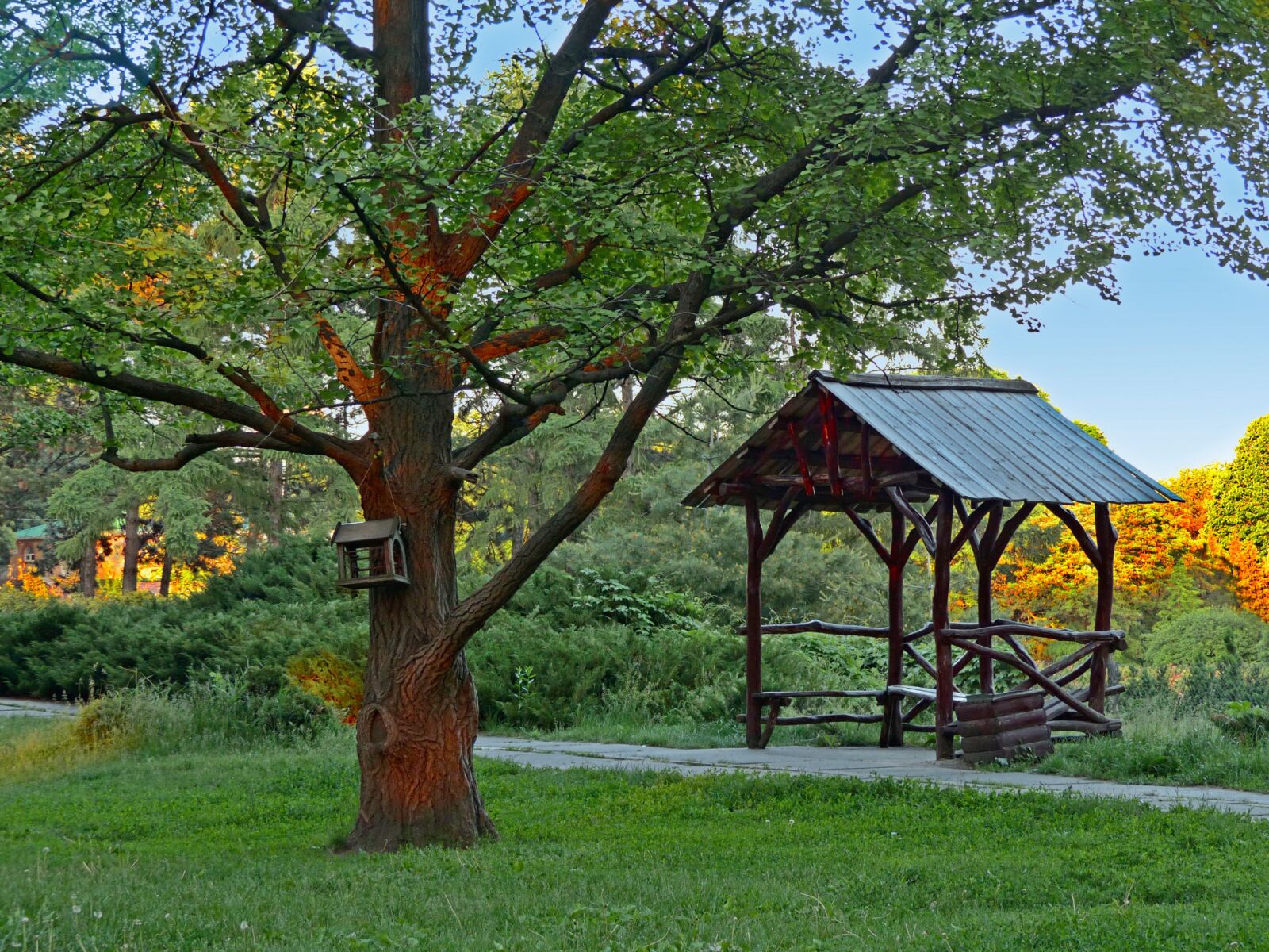 Panasonic Lumix DMC-FZ200 sample photo. Gazebo, tree, botanical garden photography