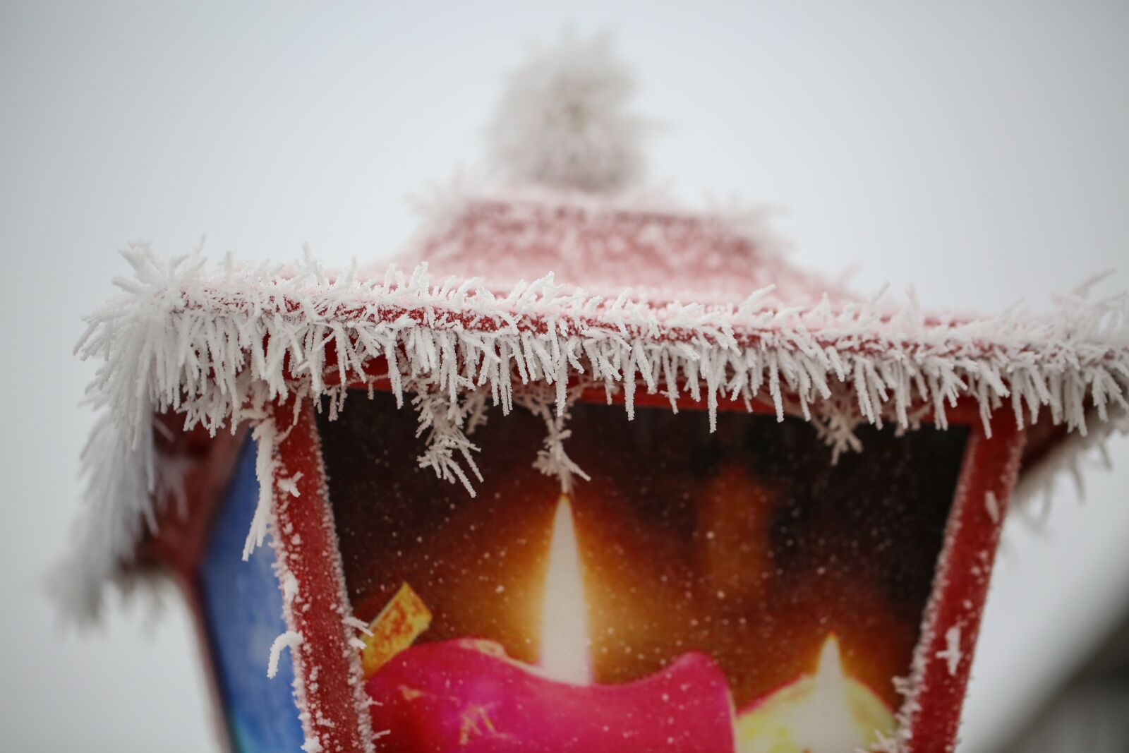 Canon EF 100mm F2.8L Macro IS USM sample photo. Ripe, hoarfrost, winter motif photography