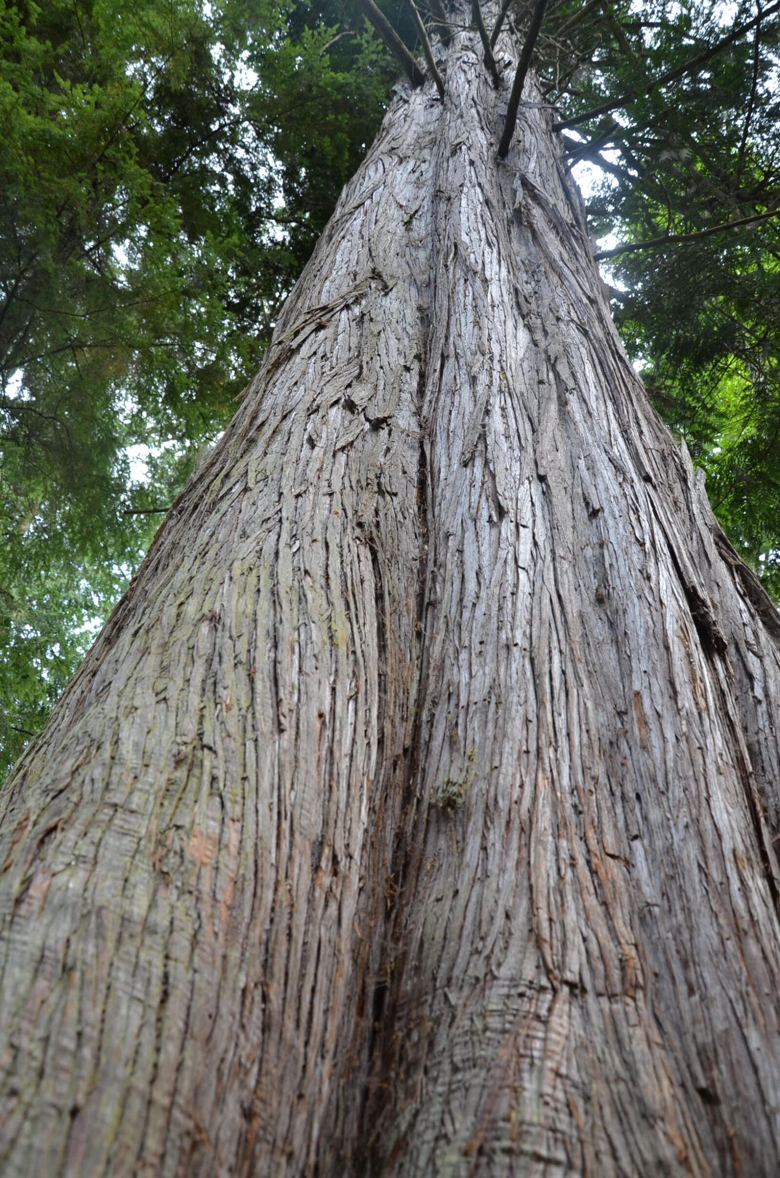 Nikon D7000 sample photo. Nature, outdoor, landscape photography