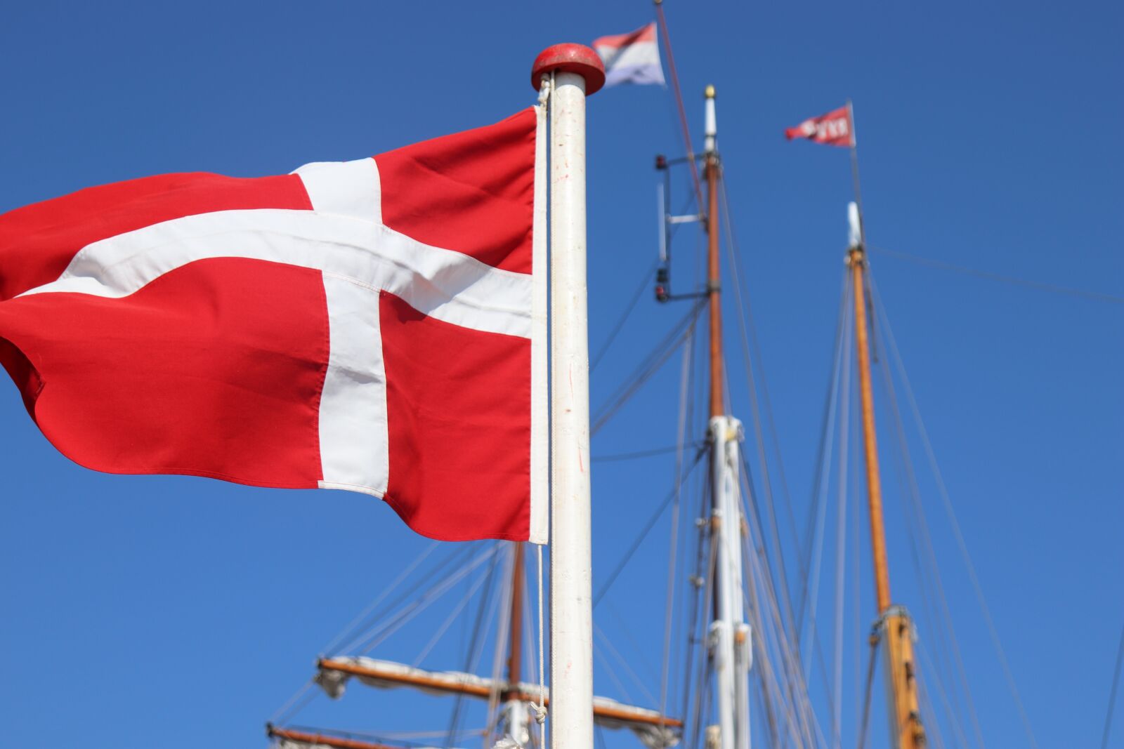 Canon EOS 200D (EOS Rebel SL2 / EOS Kiss X9) sample photo. Denmark, flag, danish photography
