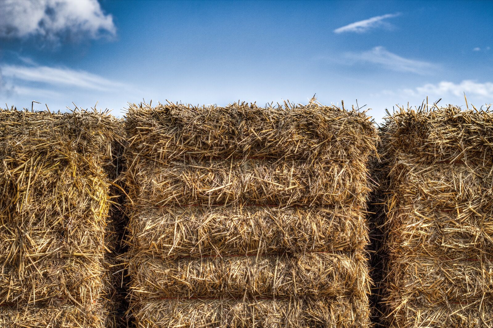Canon EOS 700D (EOS Rebel T5i / EOS Kiss X7i) sample photo. Straw, packs of straw photography
