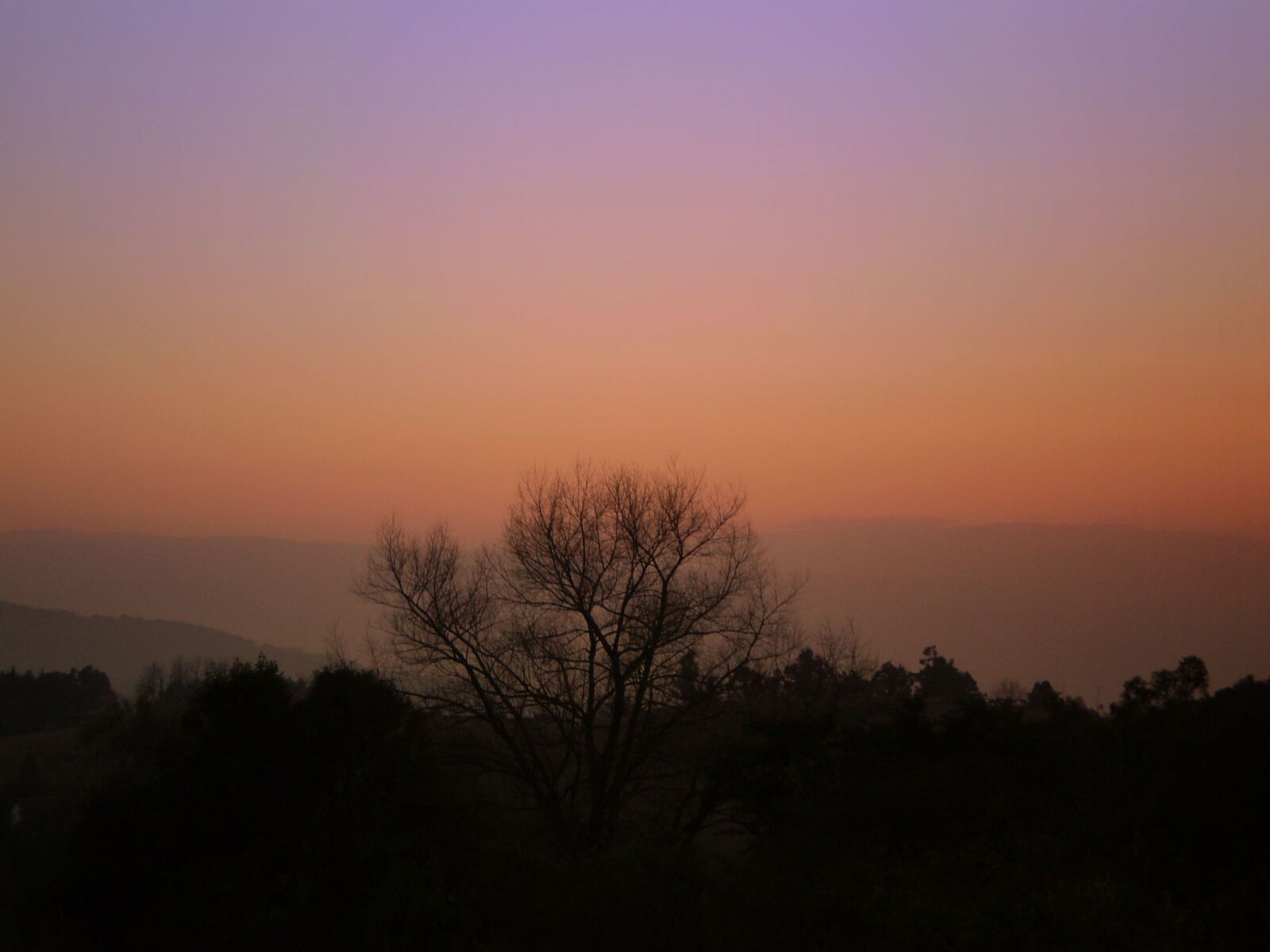 Olympus FE210,X775 sample photo. Sunset, tree, horizon photography