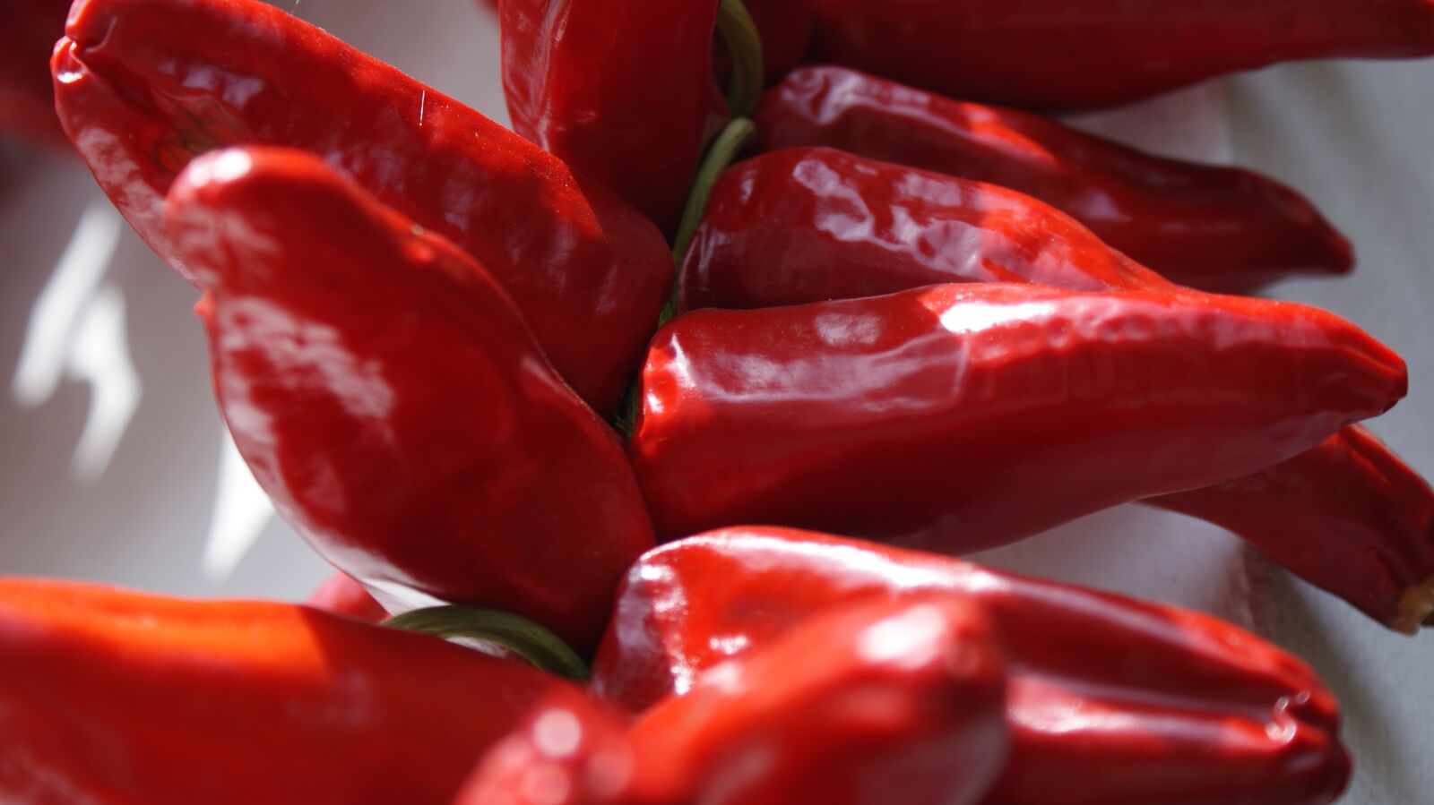 Sony Alpha DSLR-A200 sample photo. Chili pepper, espelette, red photography