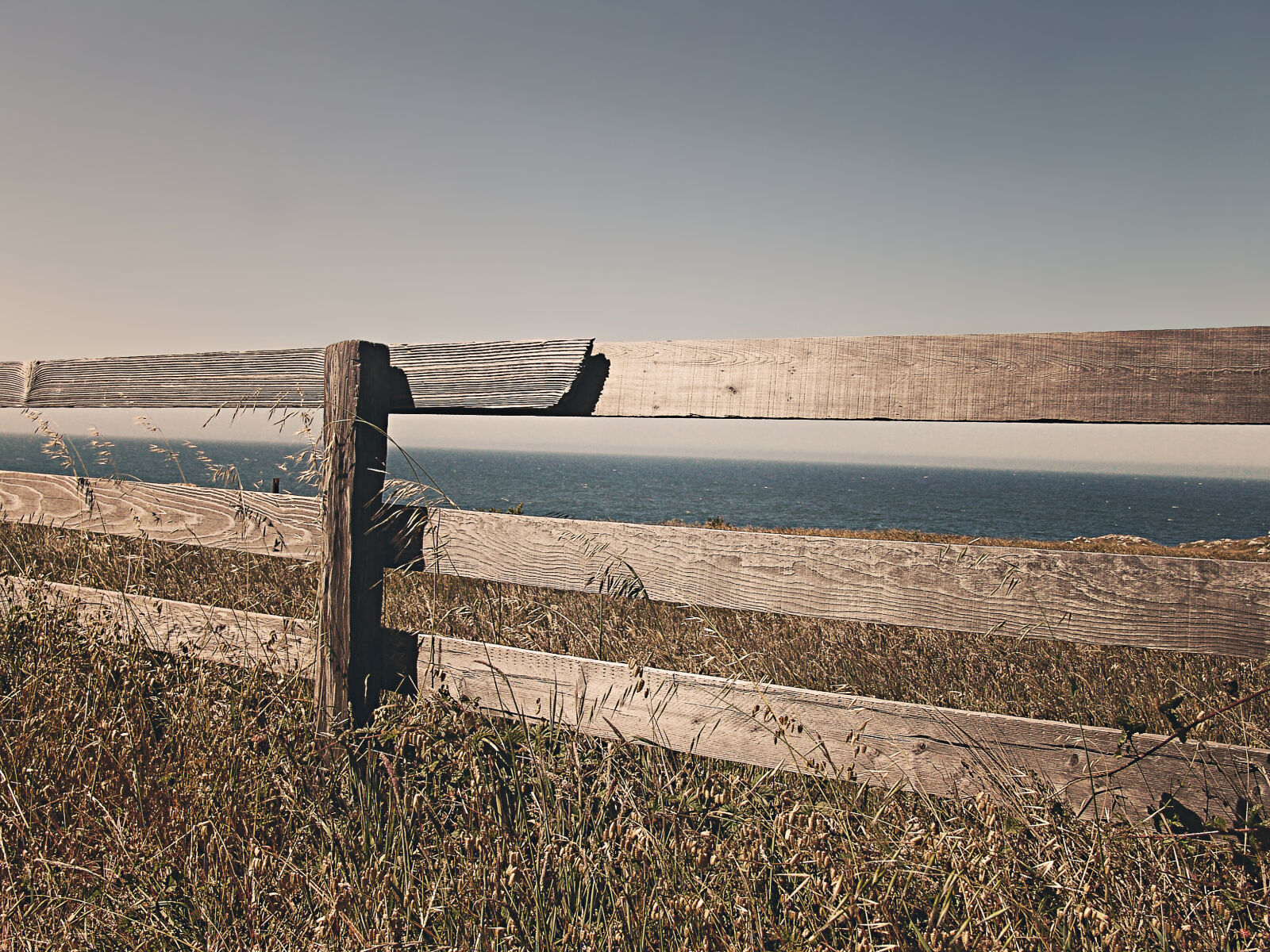 Sony DSC-F828 sample photo. Sea, ocean, meadow, fence photography