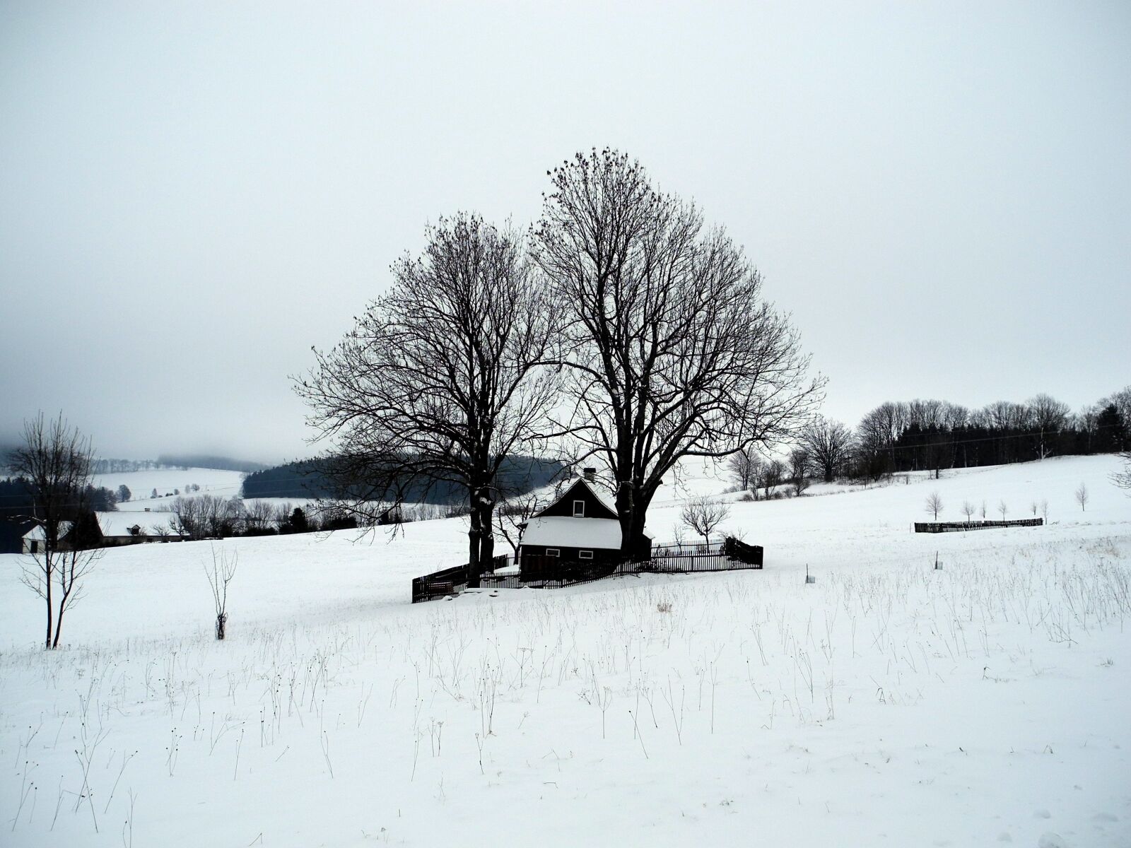 Nikon Coolpix P7000 sample photo. Landscape, winter, snow photography