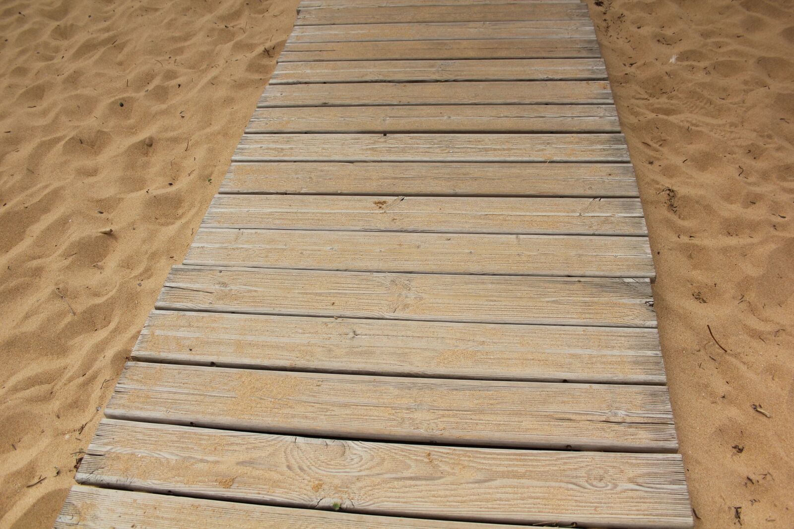 Canon EOS 550D (EOS Rebel T2i / EOS Kiss X4) sample photo. Way, copy space, beach photography