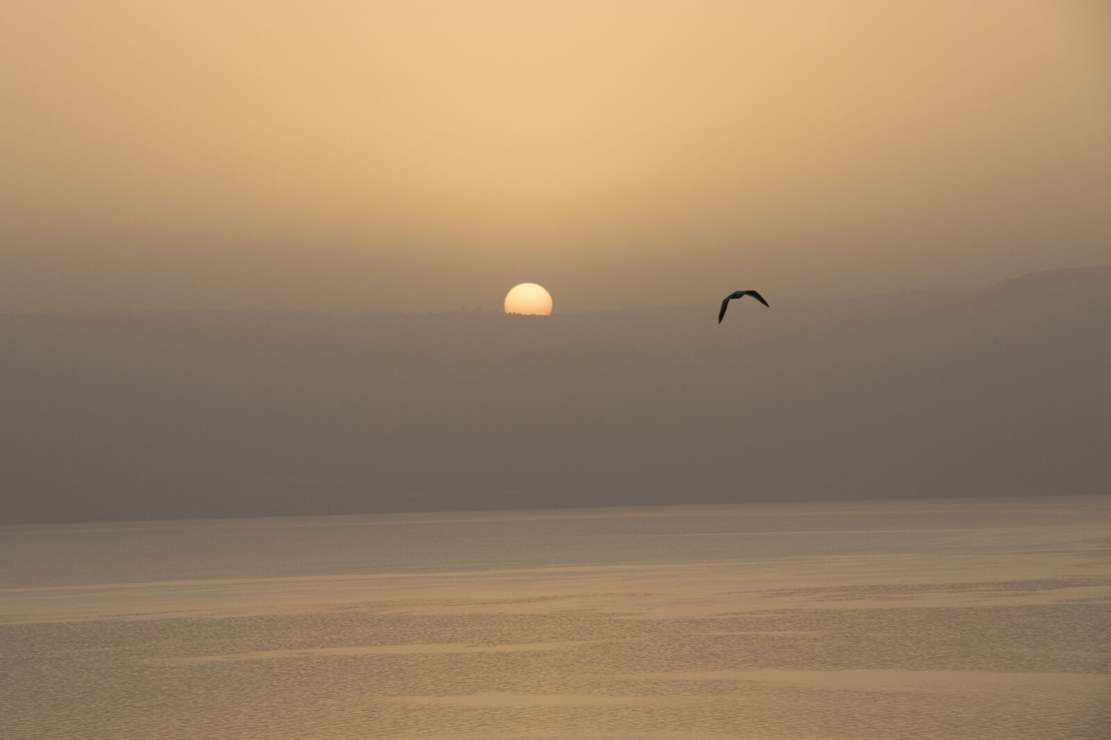 Canon EOS 7D Mark II sample photo. Sea of galilee, israel photography