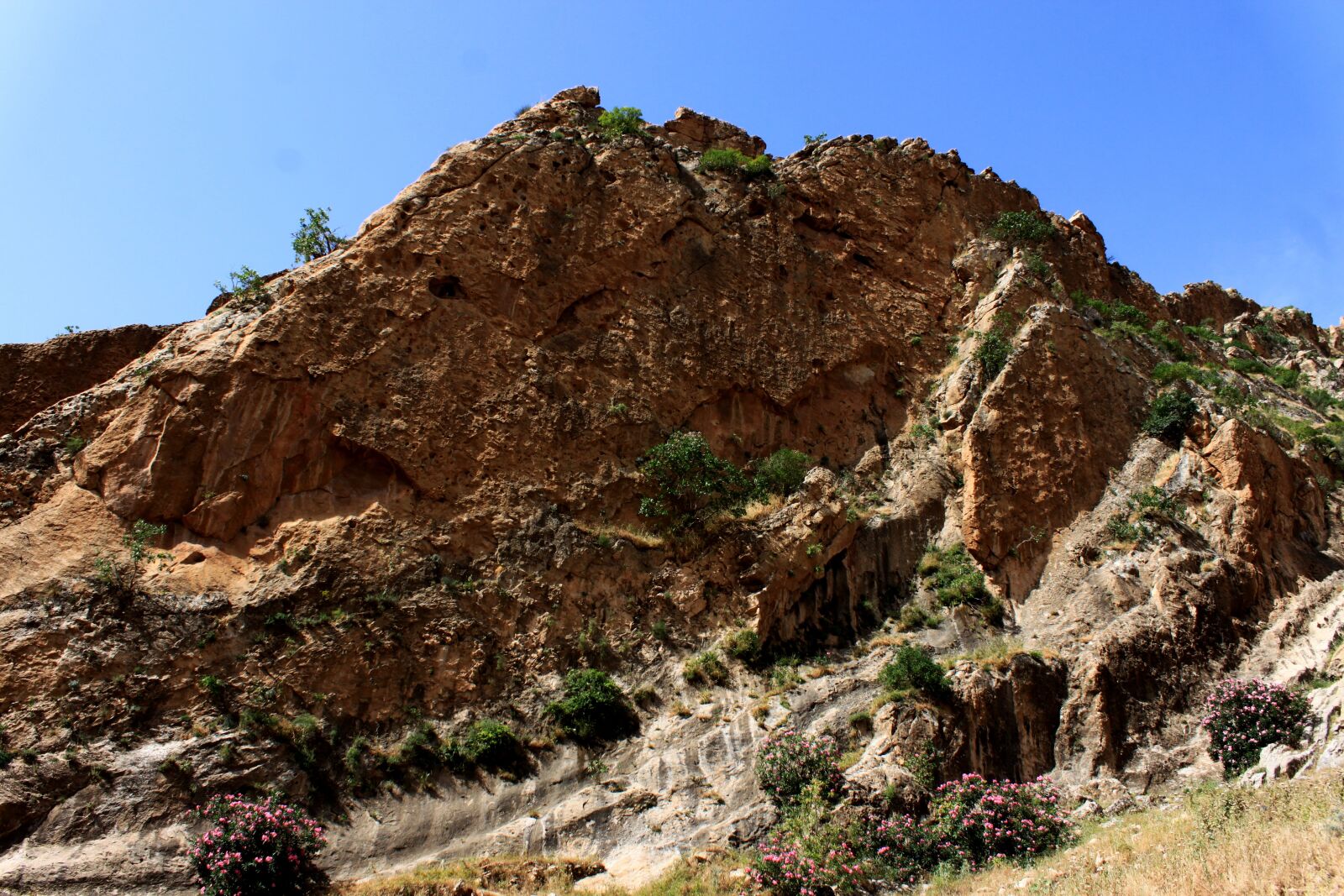 Canon EOS 500D (EOS Rebel T1i / EOS Kiss X3) sample photo. Rocky, mountain, nature photography