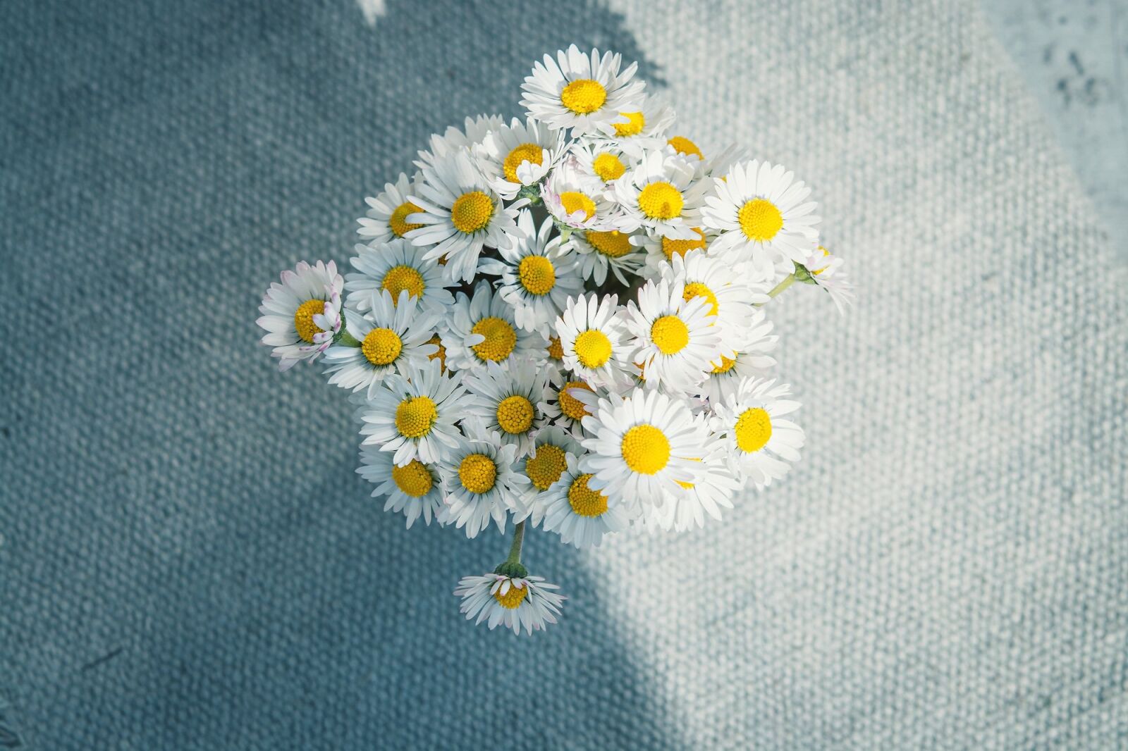 Nikon D7100 sample photo. Daisy, flowers, bouquet photography
