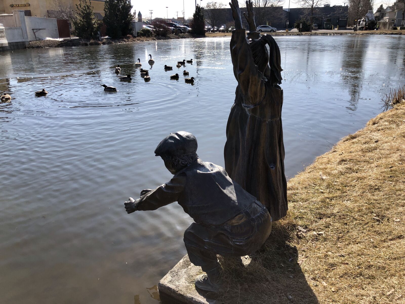 iPhone 8 Plus back dual camera 3.99mm f/1.8 sample photo. Pond, duck, statue photography