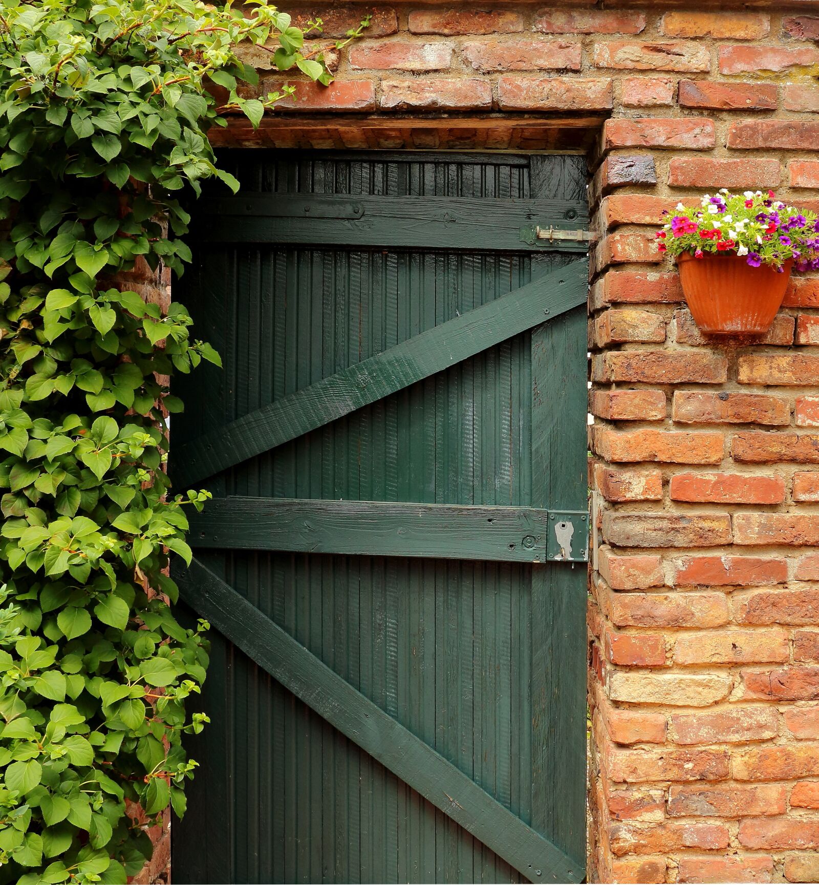 Canon EOS 700D (EOS Rebel T5i / EOS Kiss X7i) sample photo. Door, goal, garden gate photography