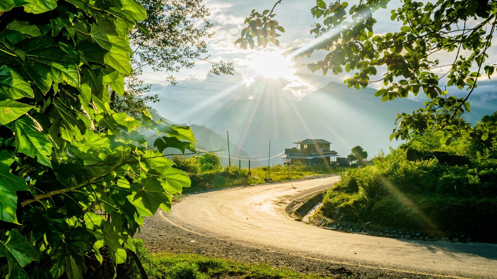 Nikon D5300 sample photo. Pathway, road, sun flare photography