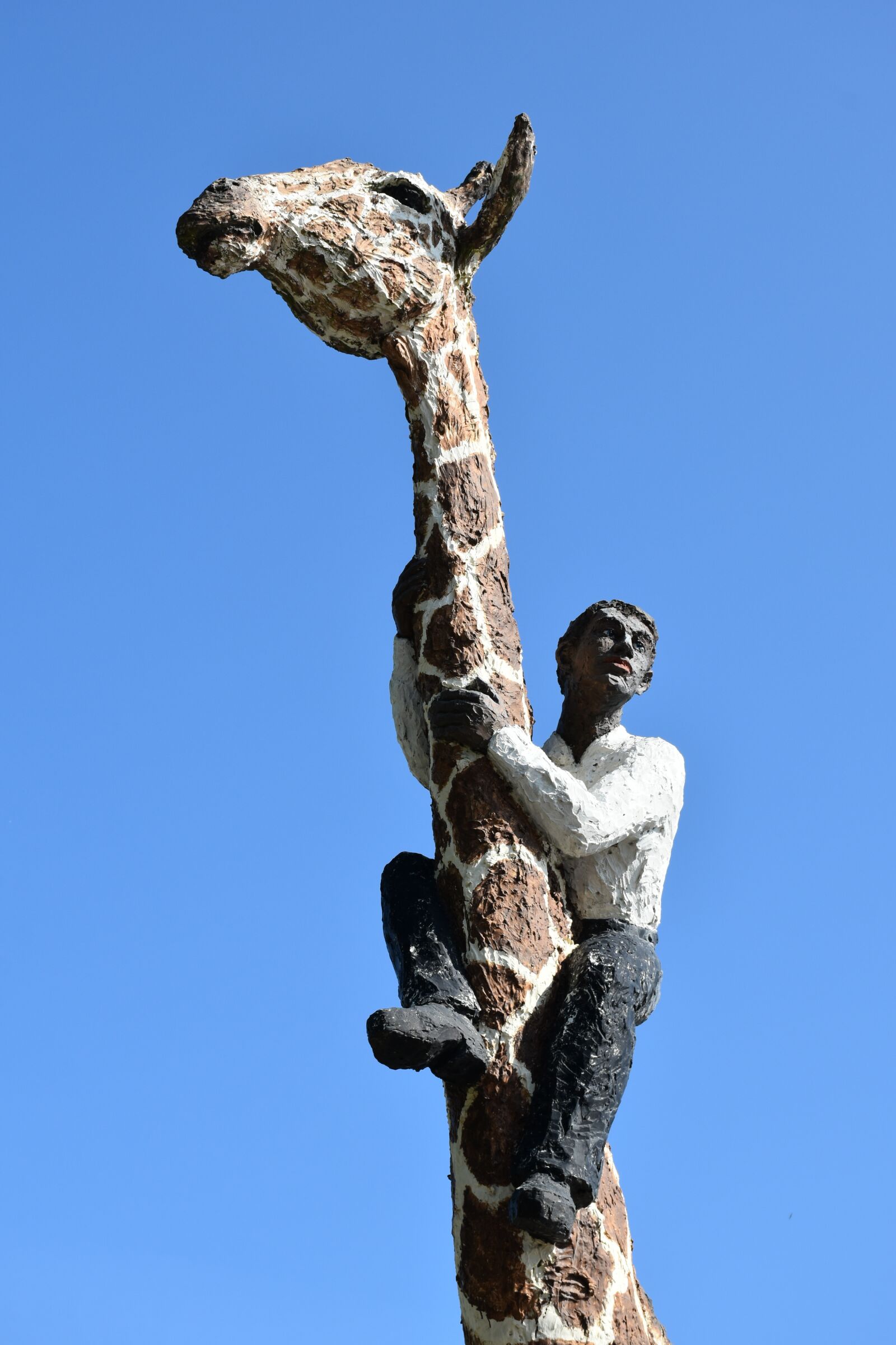 Nikon D5500 sample photo. Hagenbeck, hamburg, giraffe photography