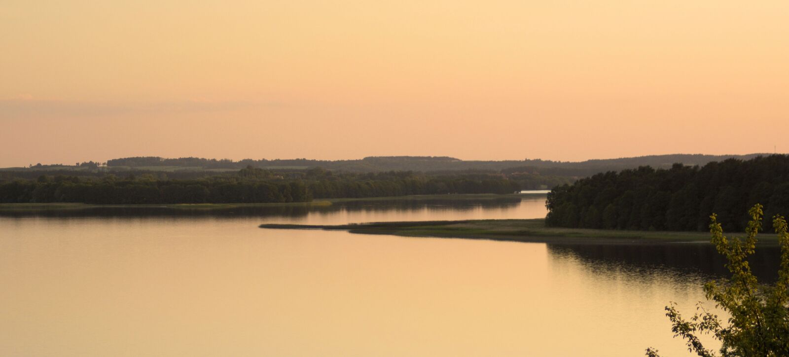 Nikon D7100 sample photo. View, forest, landscape photography