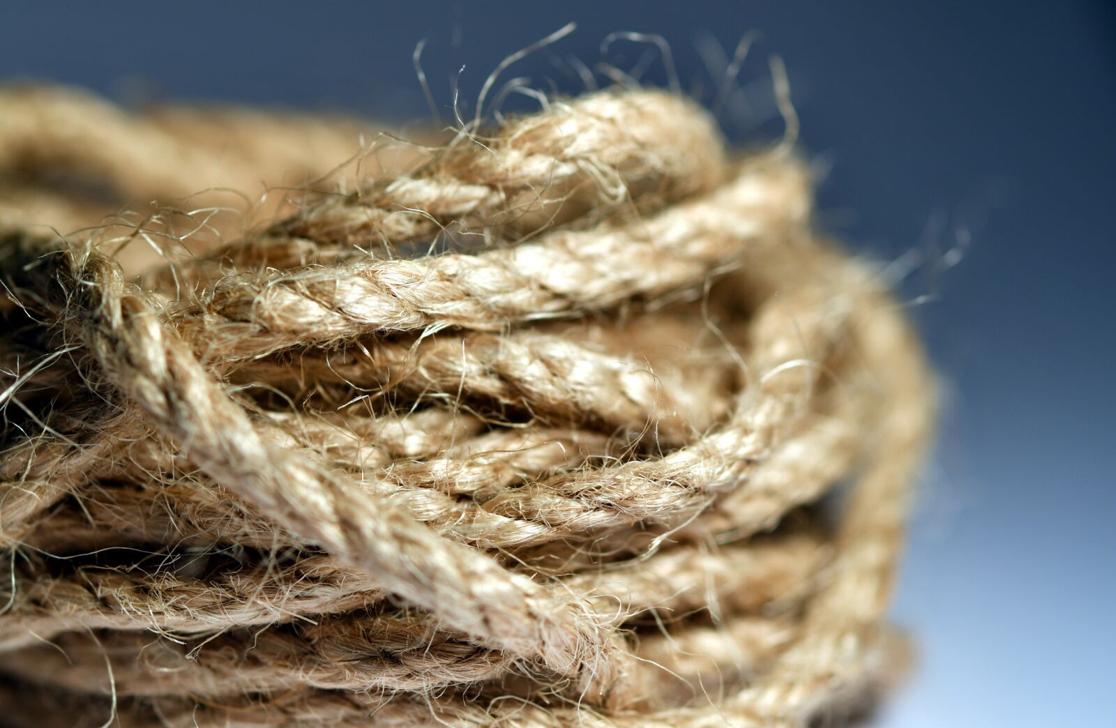 Nikon D500 sample photo. Rope, navy, macro photography