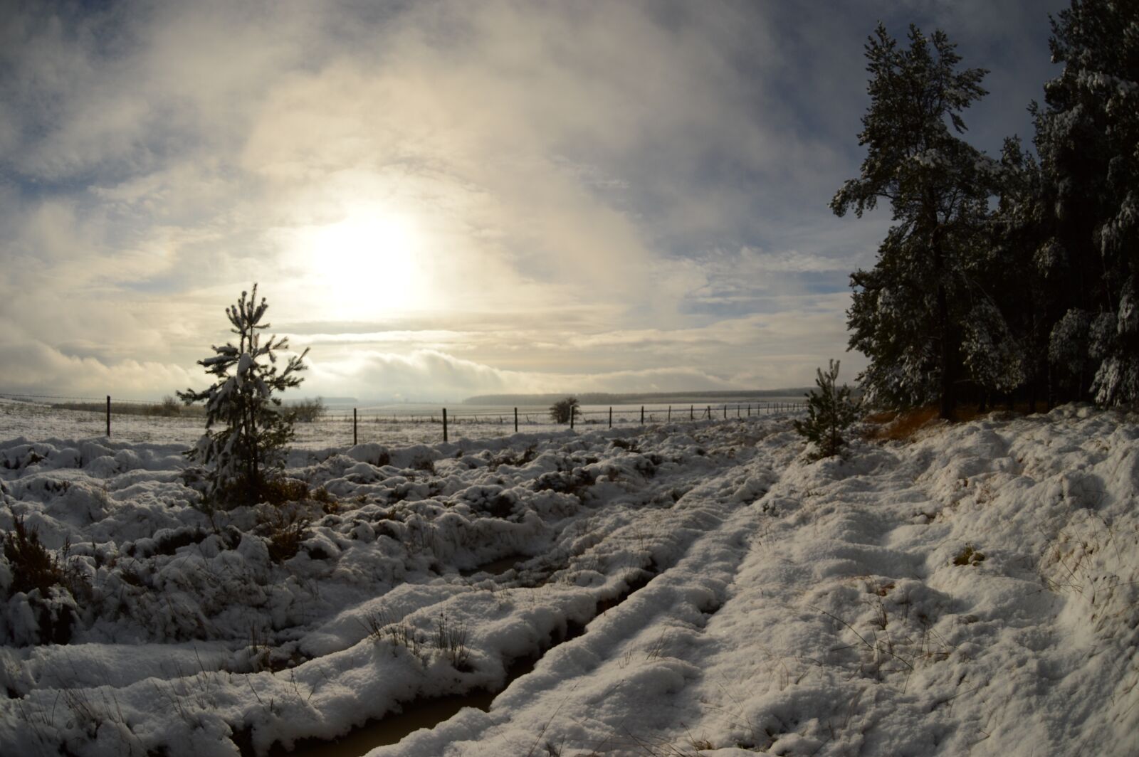 Nikon D3200 sample photo. Snow, woods, winter photography