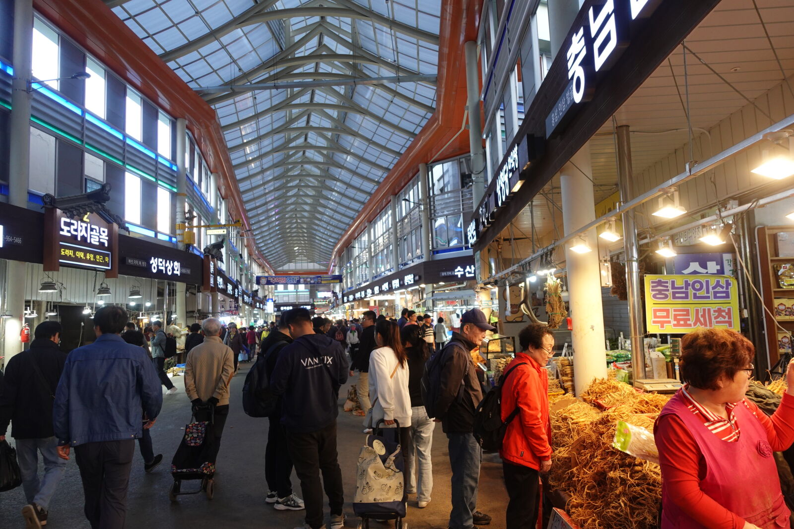 Sony ZV-1 sample photo