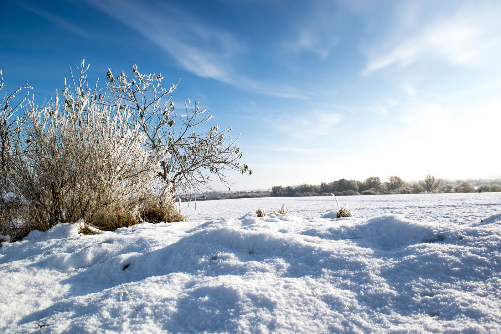 Nikon D800 sample photo. Winter, field, snow photography