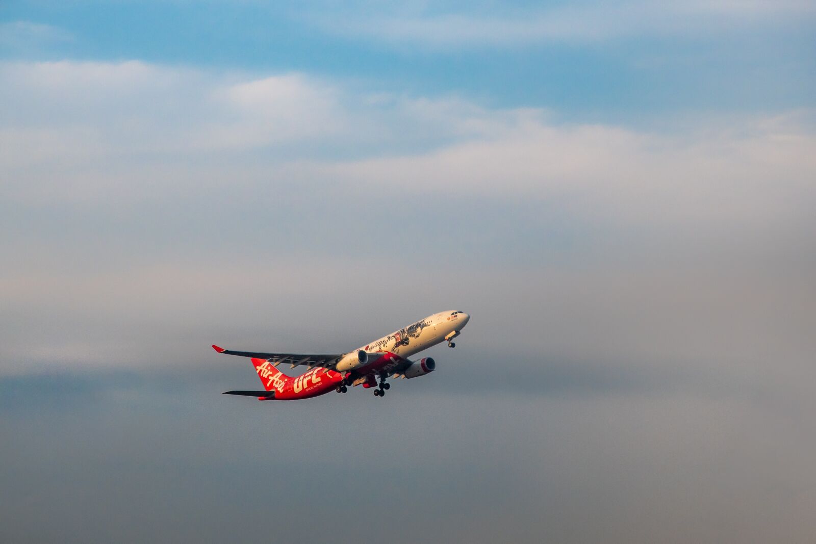 Nikon D500 sample photo. Fly, flight, freedom photography