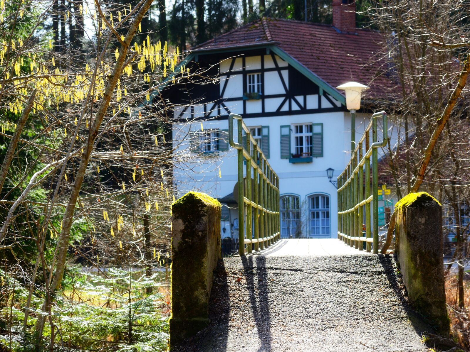 Nikon D7100 sample photo. Away, web, bridge photography
