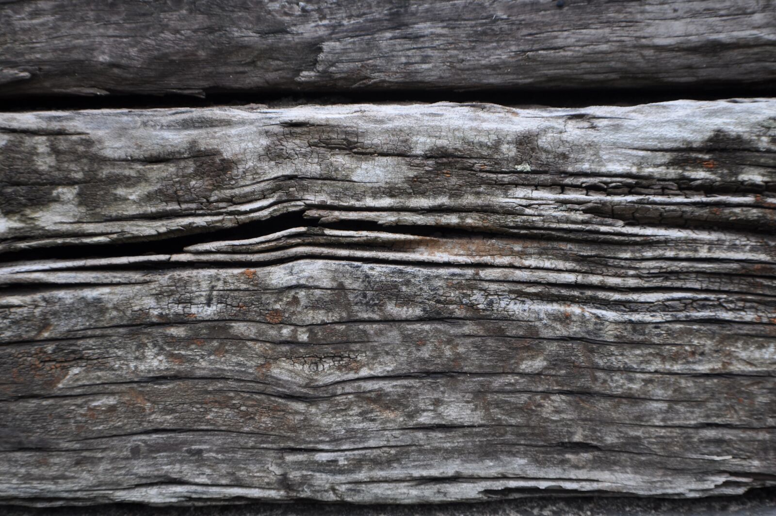 Nikon D5000 sample photo. Wood, natural, nature photography