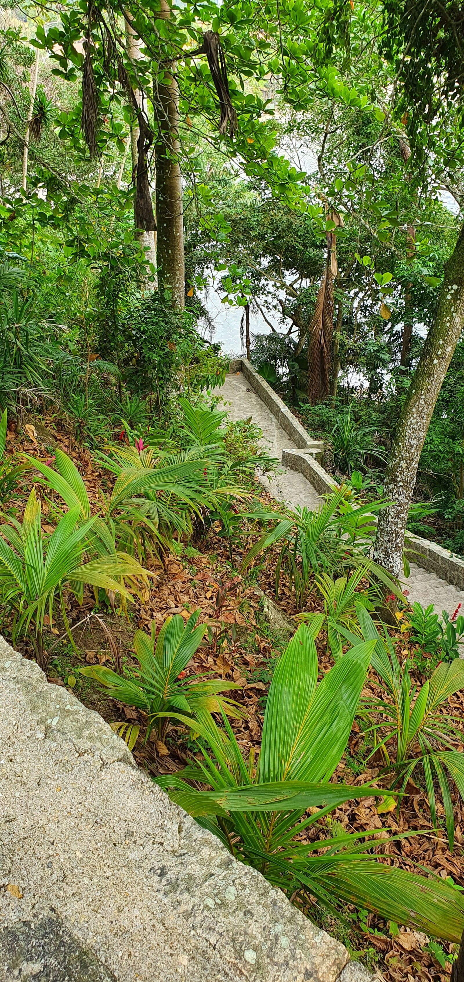 Samsung SM-G975F sample photo. Escadas, verde, areia photography