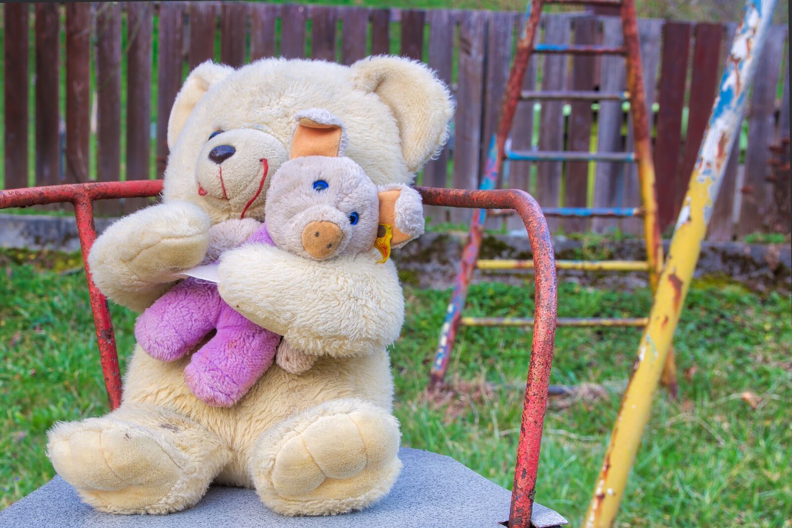 Nikon D5300 sample photo. Carousel, teddy, toys photography