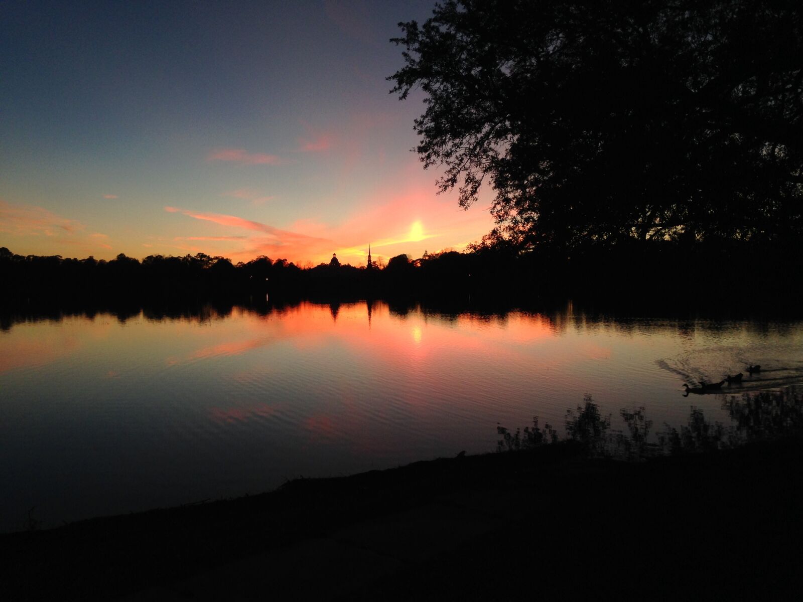 iPhone 5c back camera 4.12mm f/2.4 sample photo. Lake, sunset, florida photography