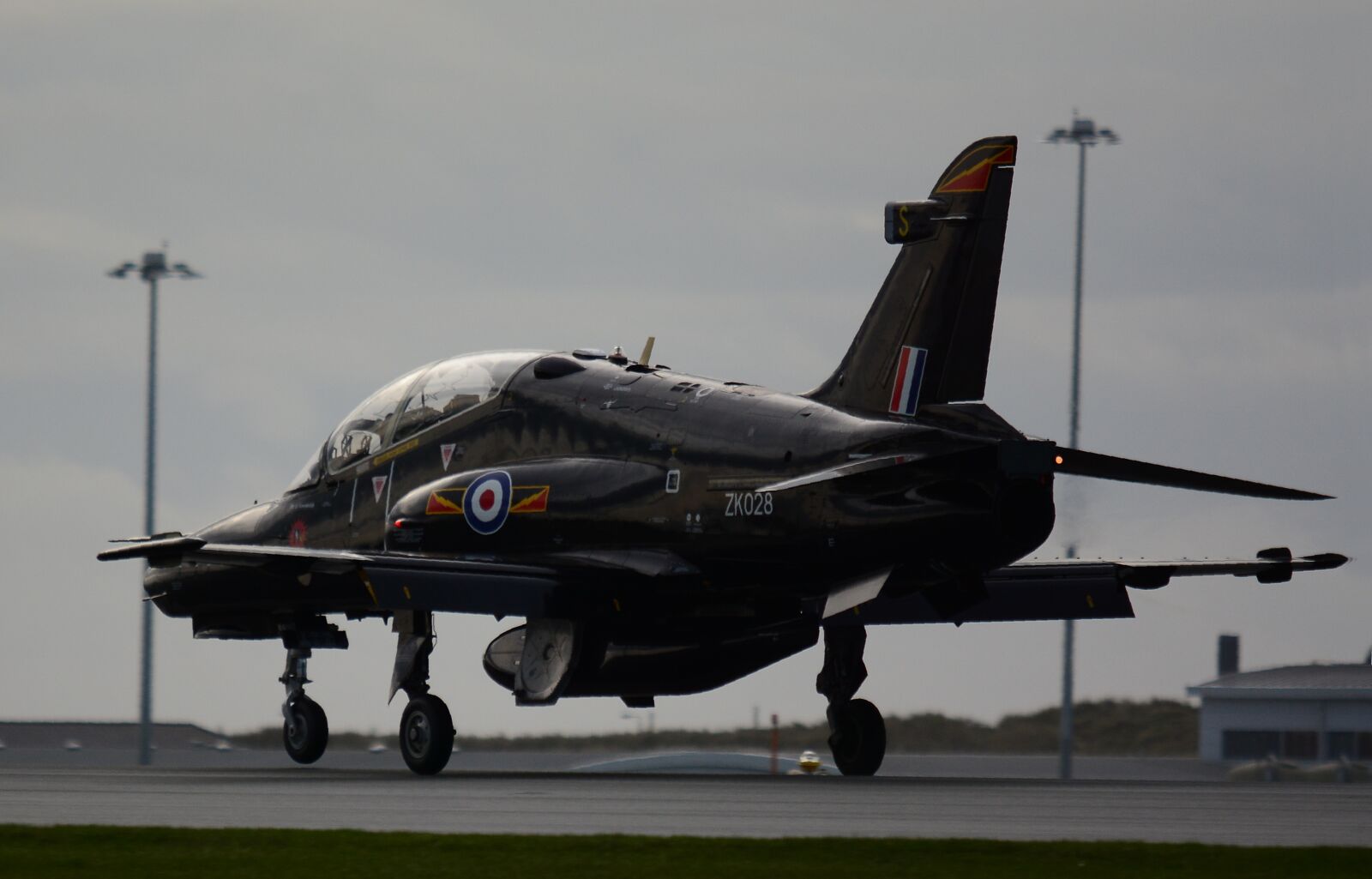 Nikon D7100 sample photo. Raf, hawk, trainer photography