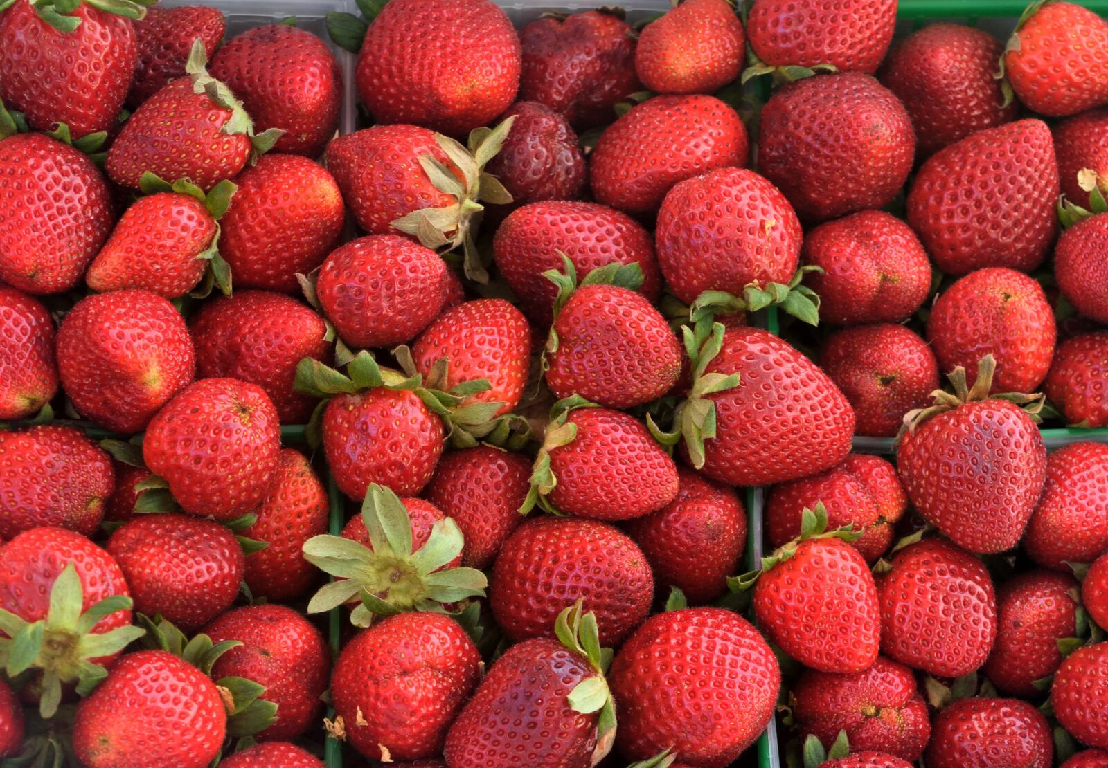 Nikon D3300 sample photo. Strawberries, fruit, fresh photography