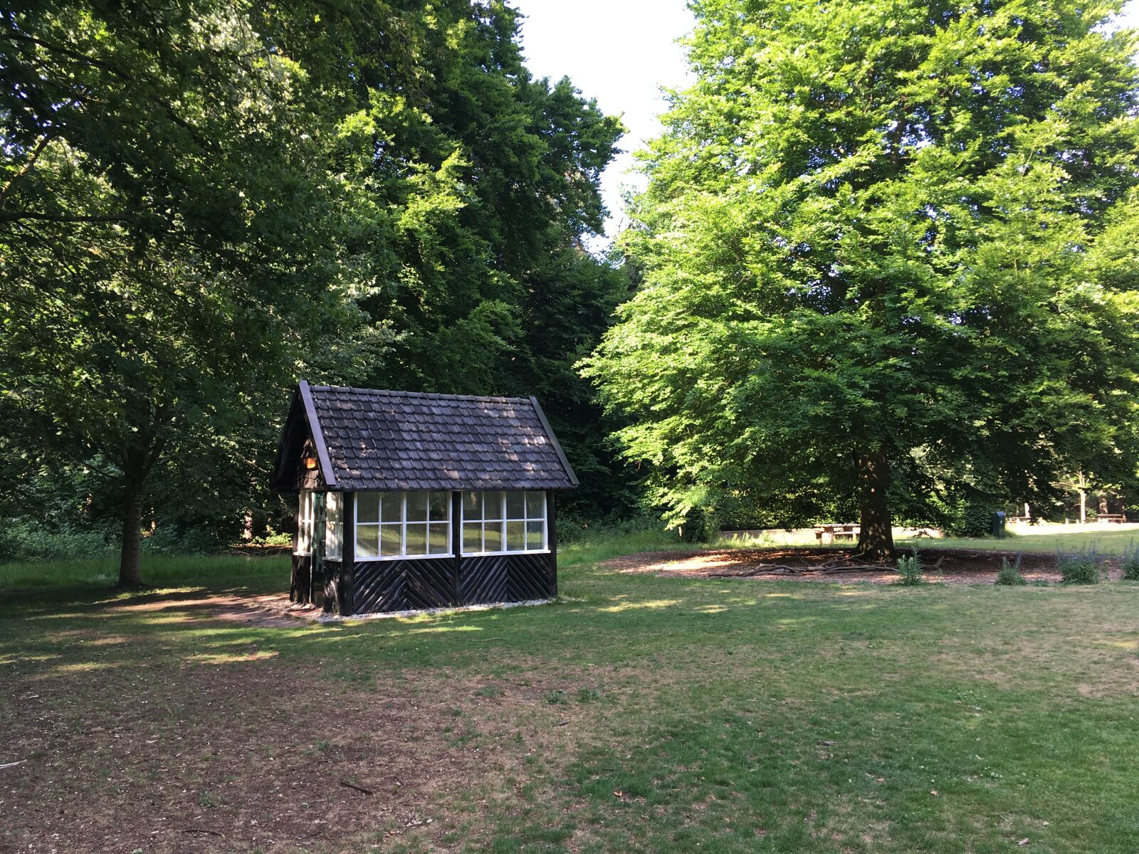 iPhone SE back camera 4.15mm f/2.2 sample photo. Forrest, green, tiny, house photography